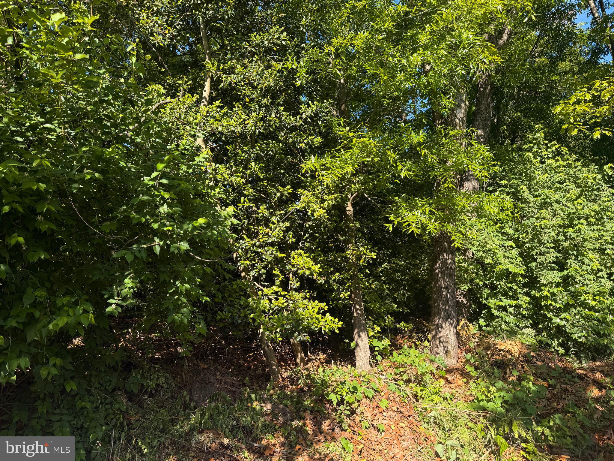 DUMONT OAKS - Residential Lease