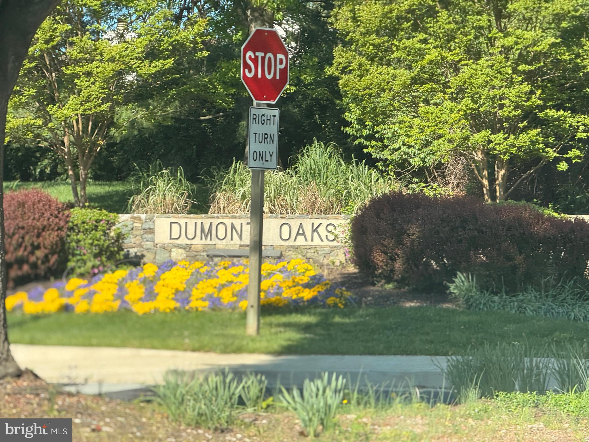 DUMONT OAKS - Residential Lease