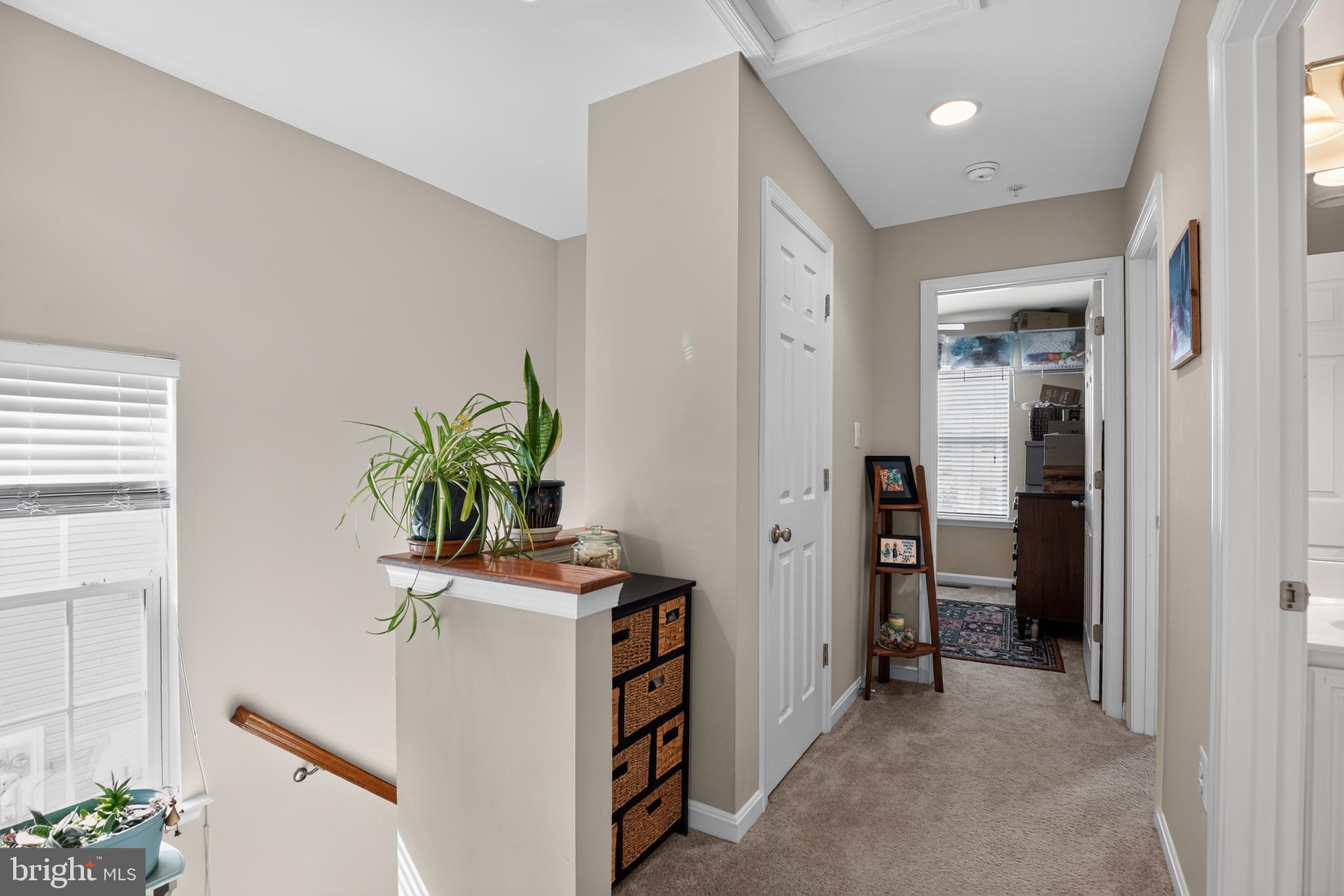 CLEMENTS WOODS - Residential