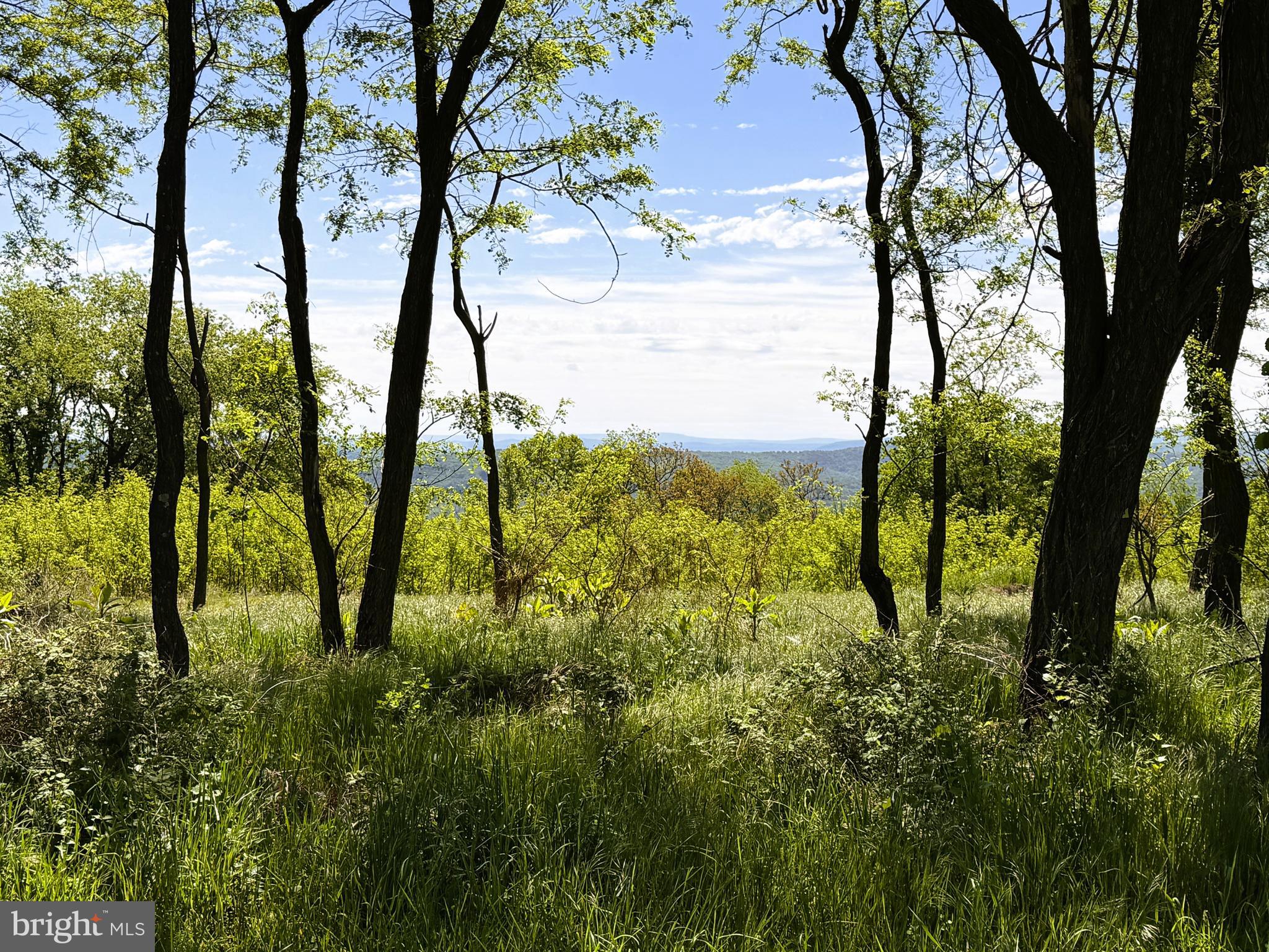 HIGH MOUNTAIN ORCHARDS - Land