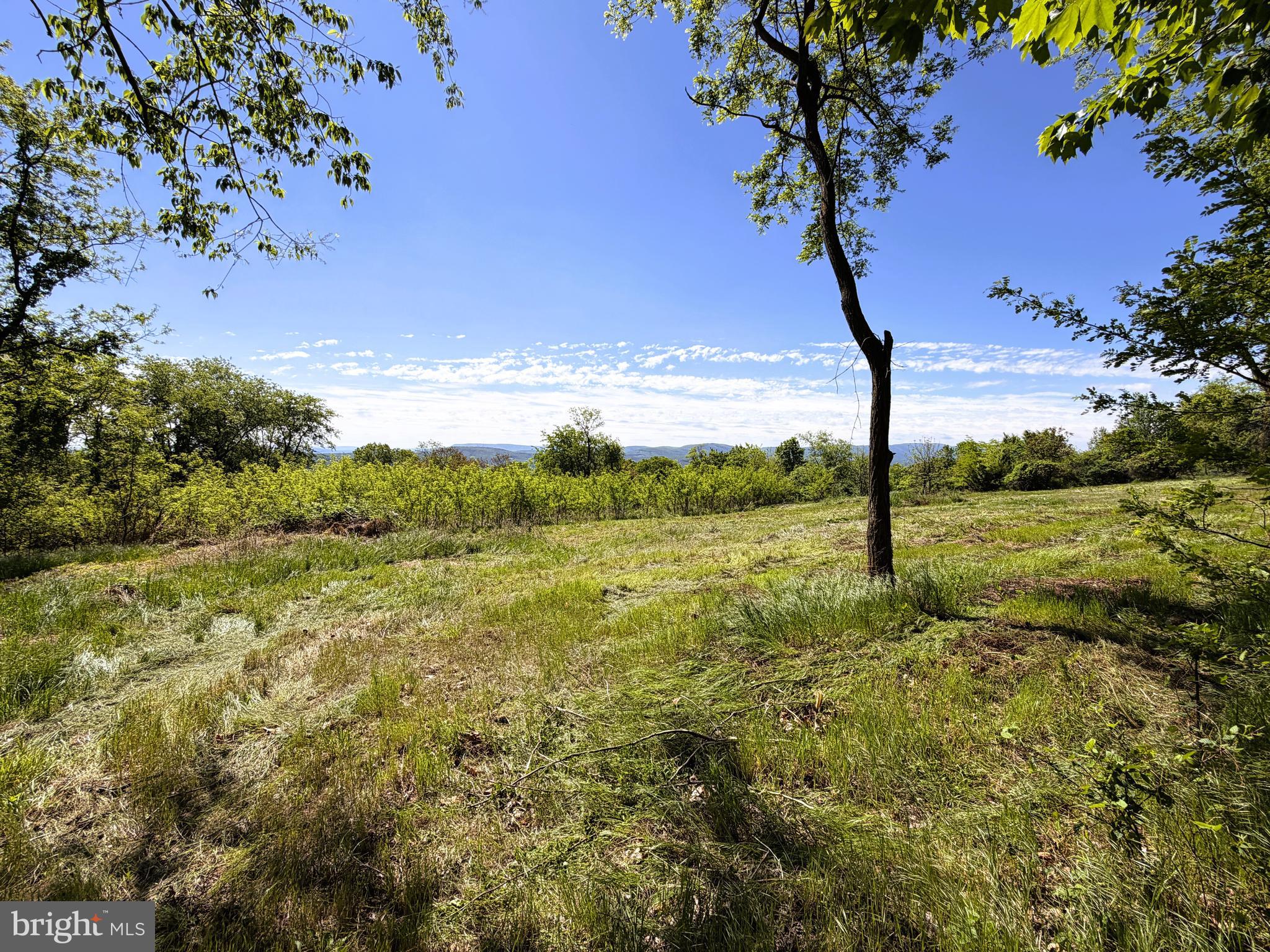 HIGH MOUNTAIN ORCHARDS - Land