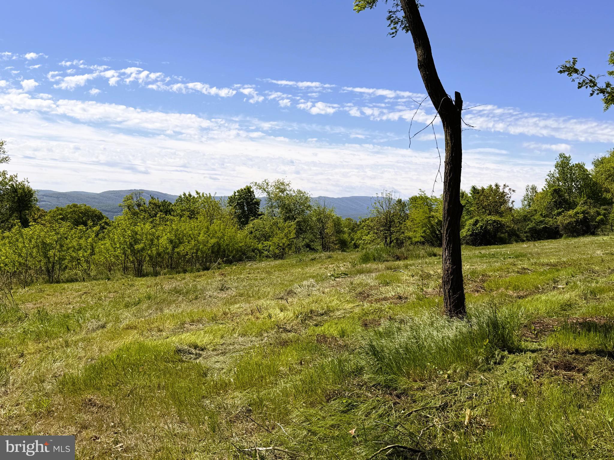 HIGH MOUNTAIN ORCHARDS - Land