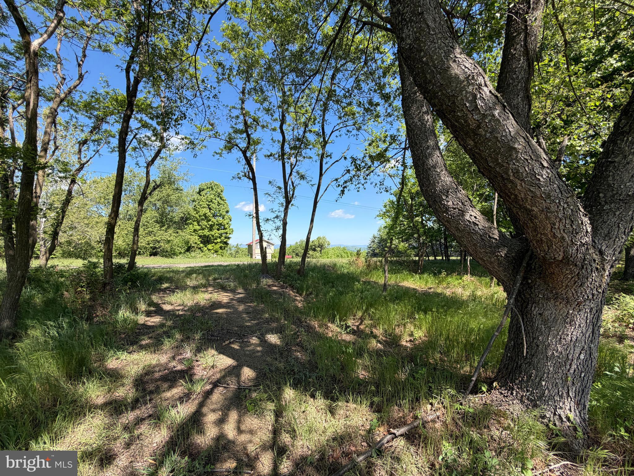 HIGH MOUNTAIN ORCHARDS - Land