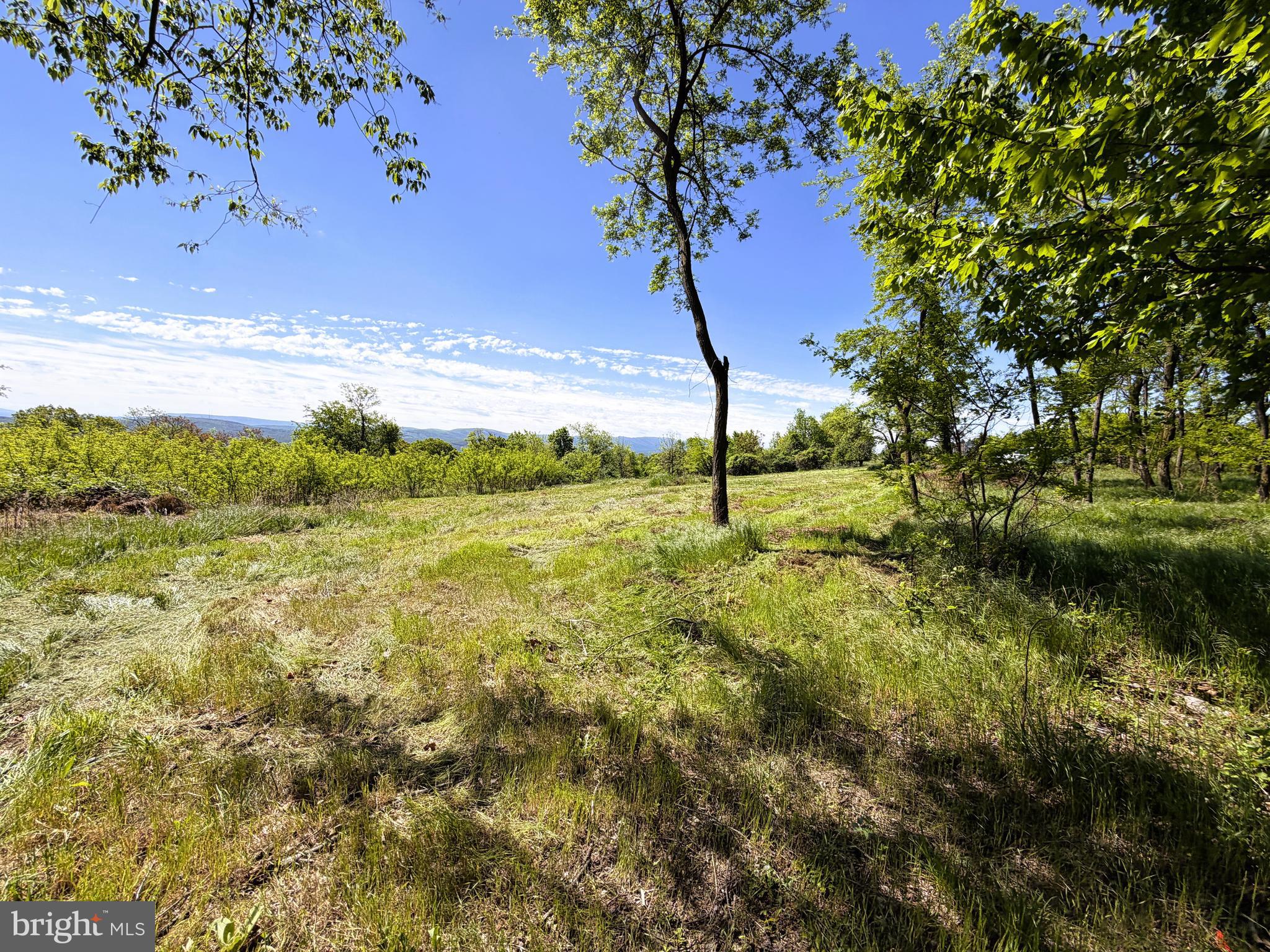 HIGH MOUNTAIN ORCHARDS - Land