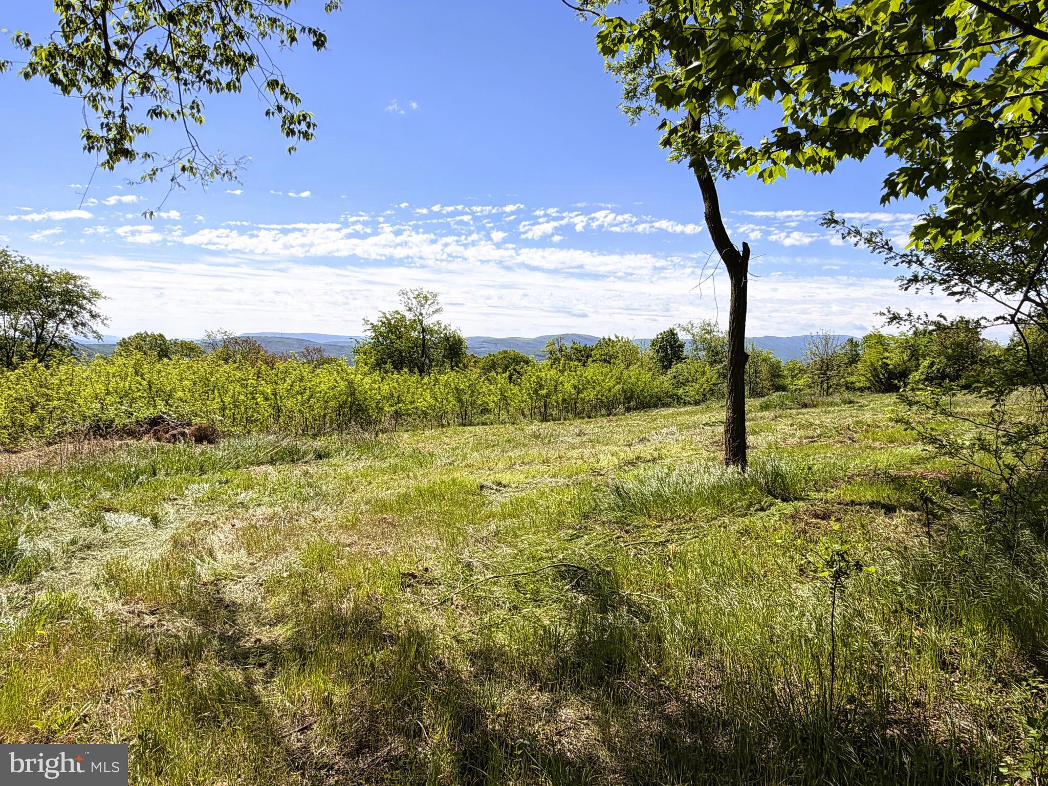 HIGH MOUNTAIN ORCHARDS - Land