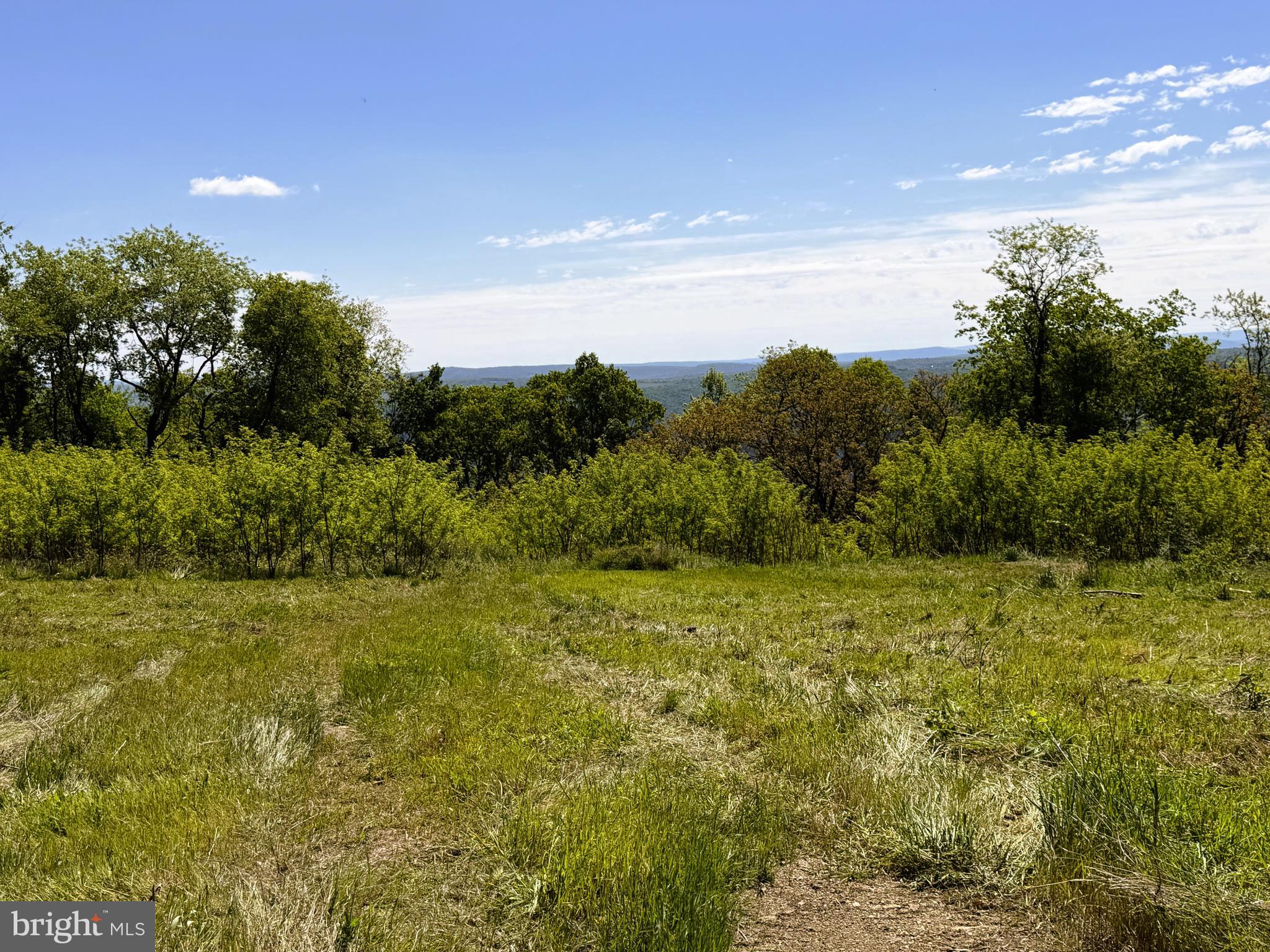HIGH MOUNTAIN ORCHARDS - Land