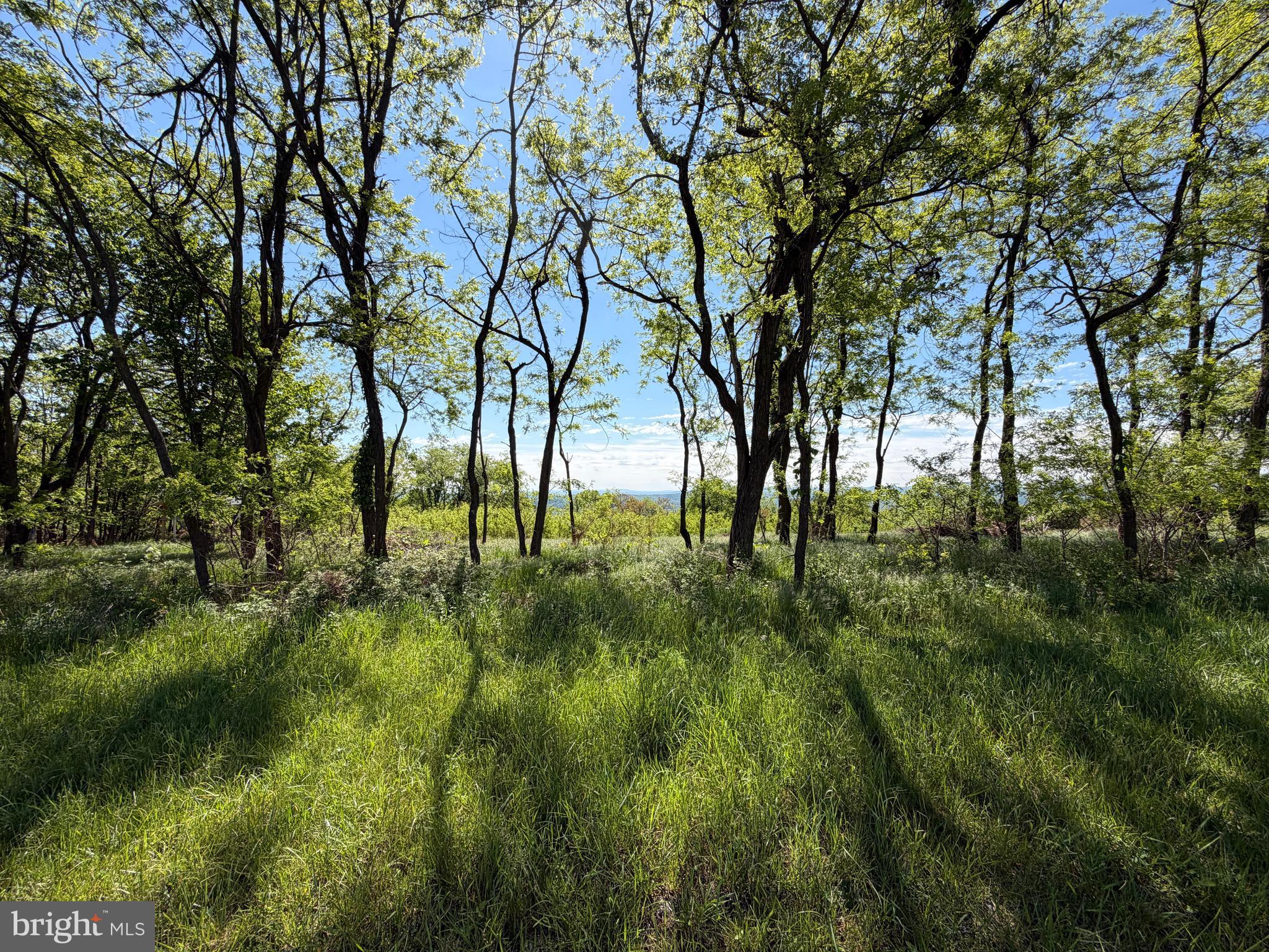 HIGH MOUNTAIN ORCHARDS - Land