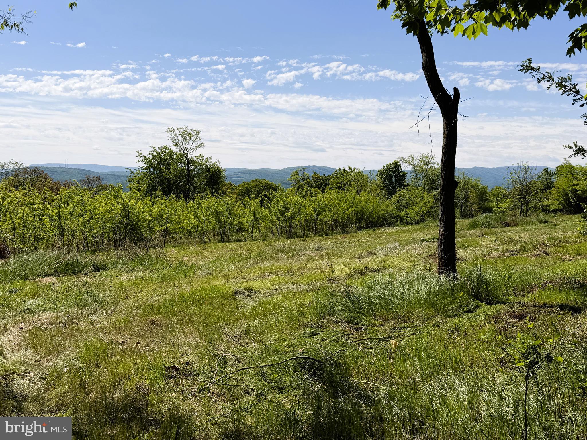 HIGH MOUNTAIN ORCHARDS - Land