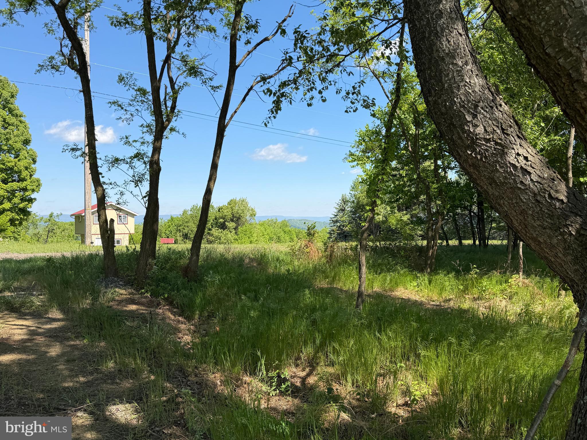 HIGH MOUNTAIN ORCHARDS - Land