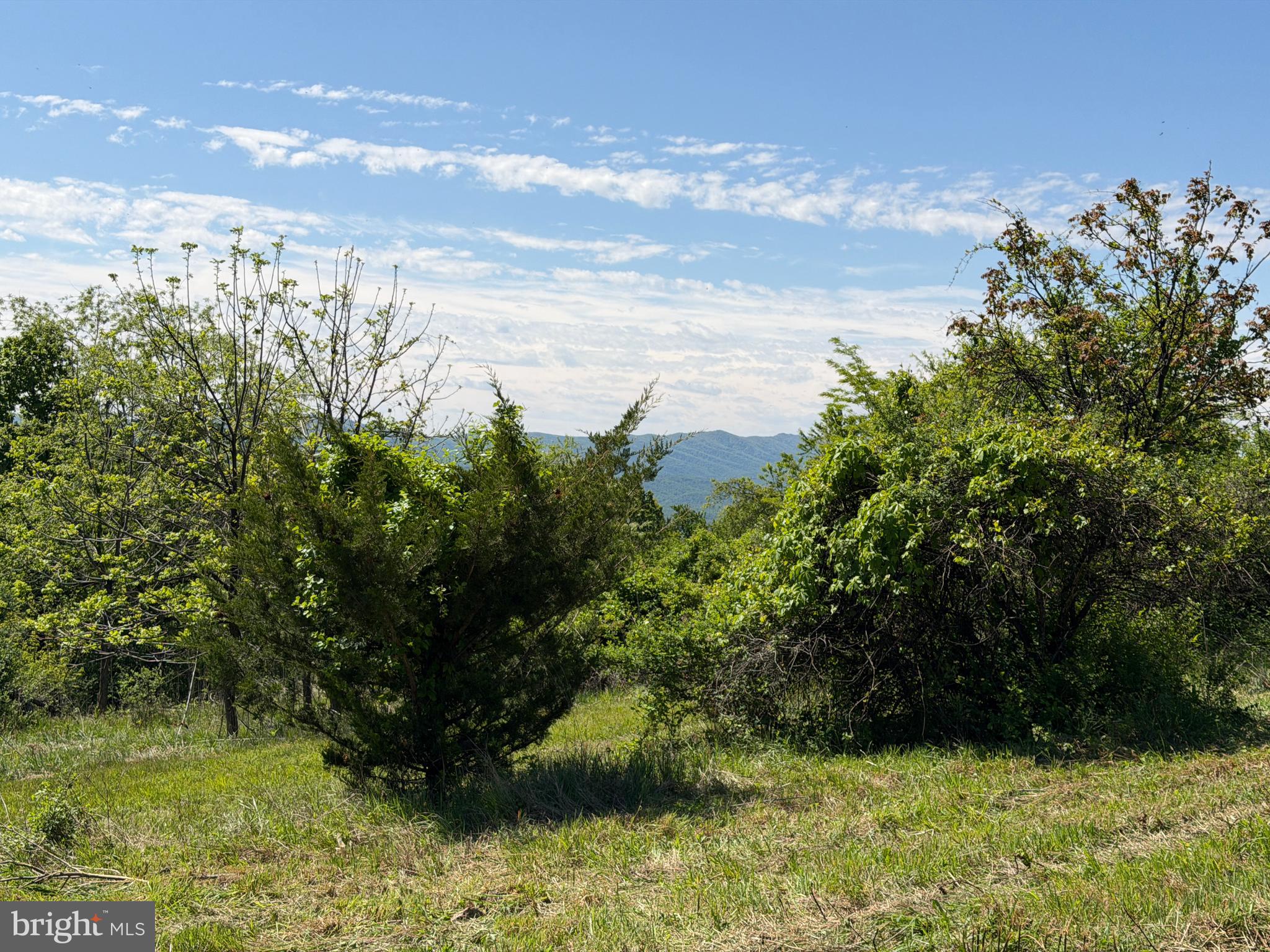 HIGH MOUNTAIN ORCHARDS - Land