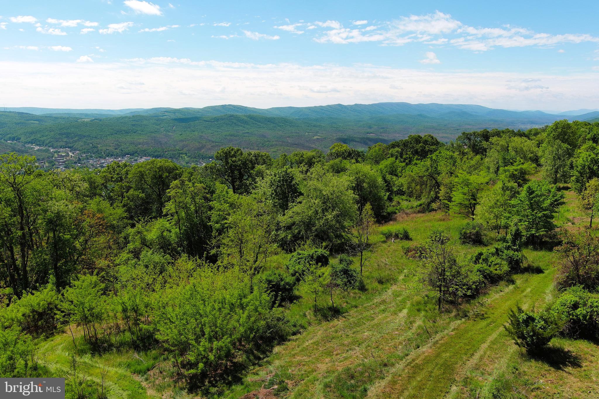 HIGH MOUNTAIN ORCHARDS - Land