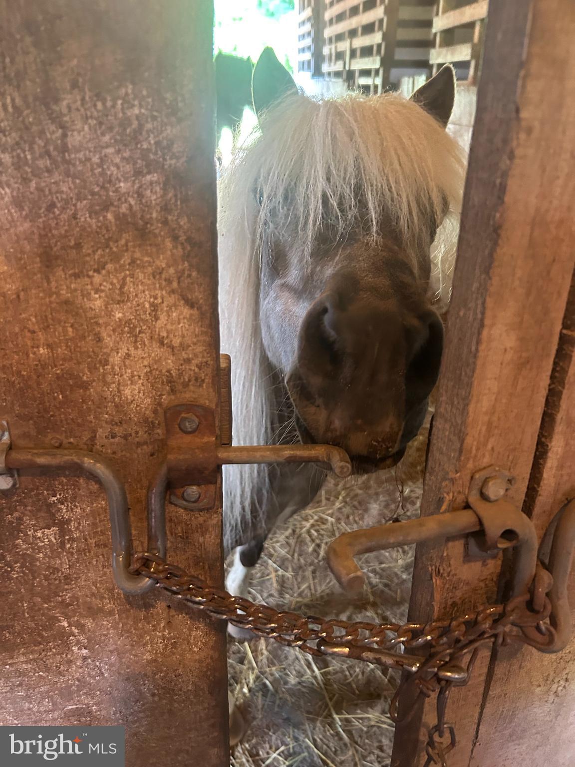 Wonderful property in Jefferson County consisting of 12.7211 unrestricted acres! Bring the horses so they can enjoy the 35x50 barn with a metal roof.  As a matter of fact, bring all your animals - there are no restrictions prohibiting any kind of animal. The barn contains 7 stalls - 4 on the west side and 3 on the east side, tack and feed room, and upper hayloft. There's plenty of room to store the equipment in the 20x25 metal equipment shed. The property is fully fenced and flat. The location is wonderful! Buyers to perform due diligence regarding subdividing.  Buyers will have to have their own barn electric and water hook up.  Please note the driveway is shared. If you are a builder, here is the opportunity to build several beautiful homes.