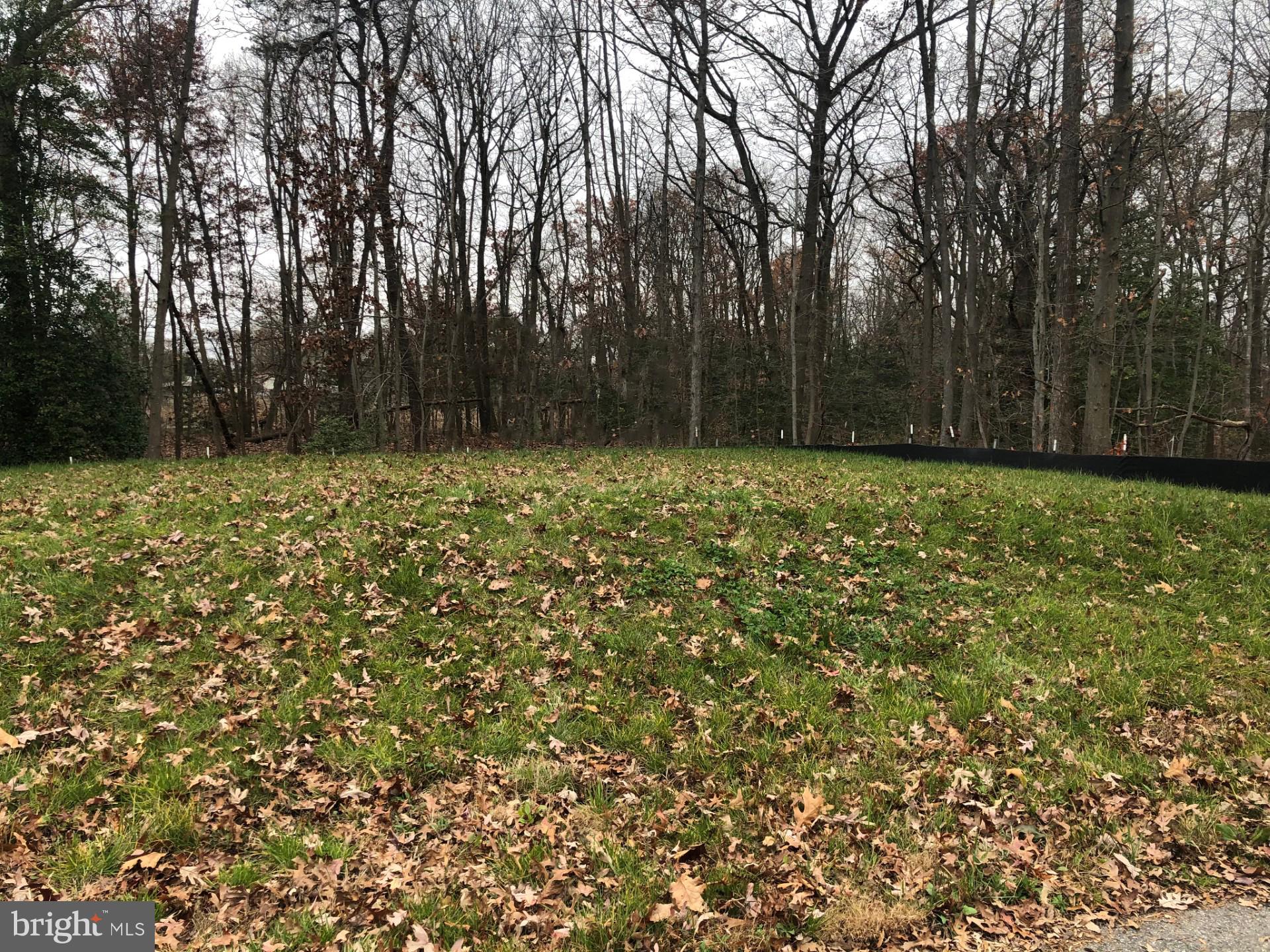 830 Cedar Avenue offers a .67 acre  waterfront lot on Muddy Gut. This partially wooded lot is ready for the water and sewer hook up ( water and sewer already at the lot). Are you ready for the sun and the moon to create  a constantly changing natural reflective canvas for your enjoyment? It is well documented that the soft flow of a river provides a tranquil soundtrack to daily life. Give yourself the pleasure for enjoying  fishing, kayaking and birdwatching plus the gratification  of a home built to your specifications. Building envelope is 40x30.  Enjoy the contentment of water life. Buyer to determine the need for flood insurance. NO BUILDER TIE IN.