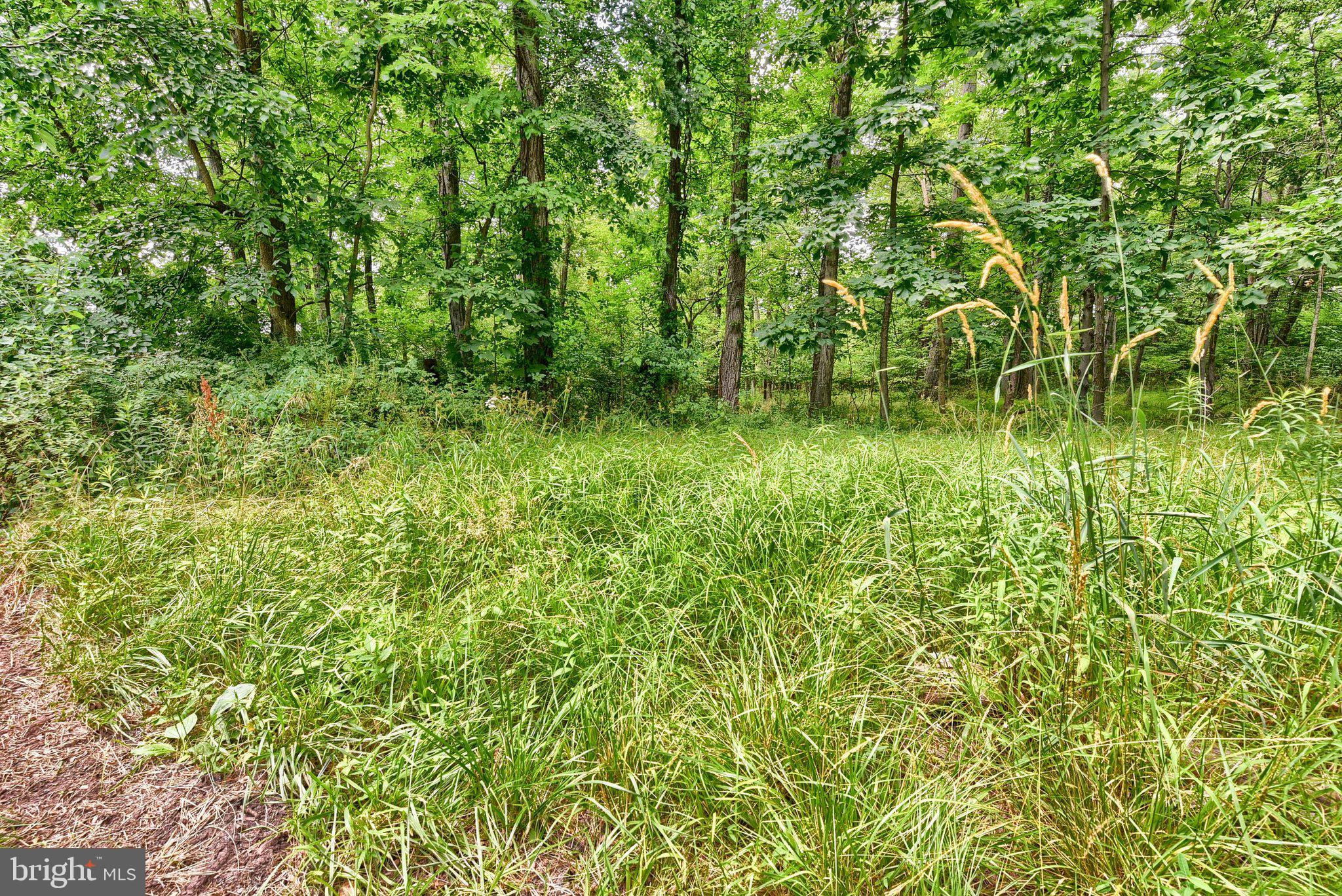 LONDONDERRY TOWNSHIP - Residential