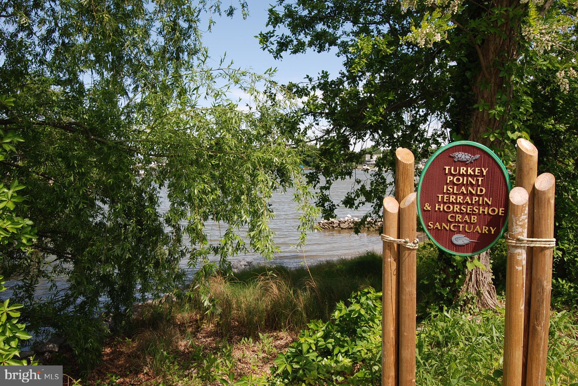 TURKEY POINT - Land