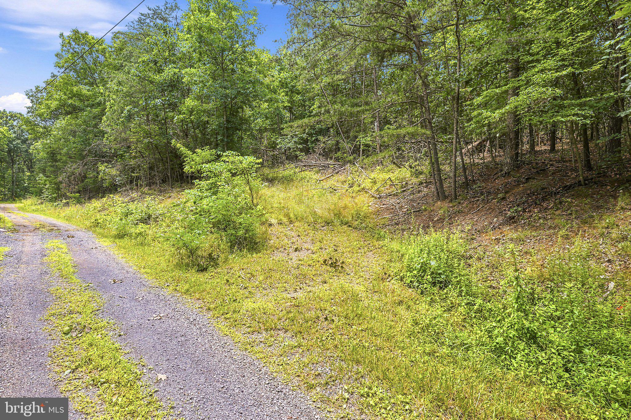 BELL HOLLOW ESTATES - Land