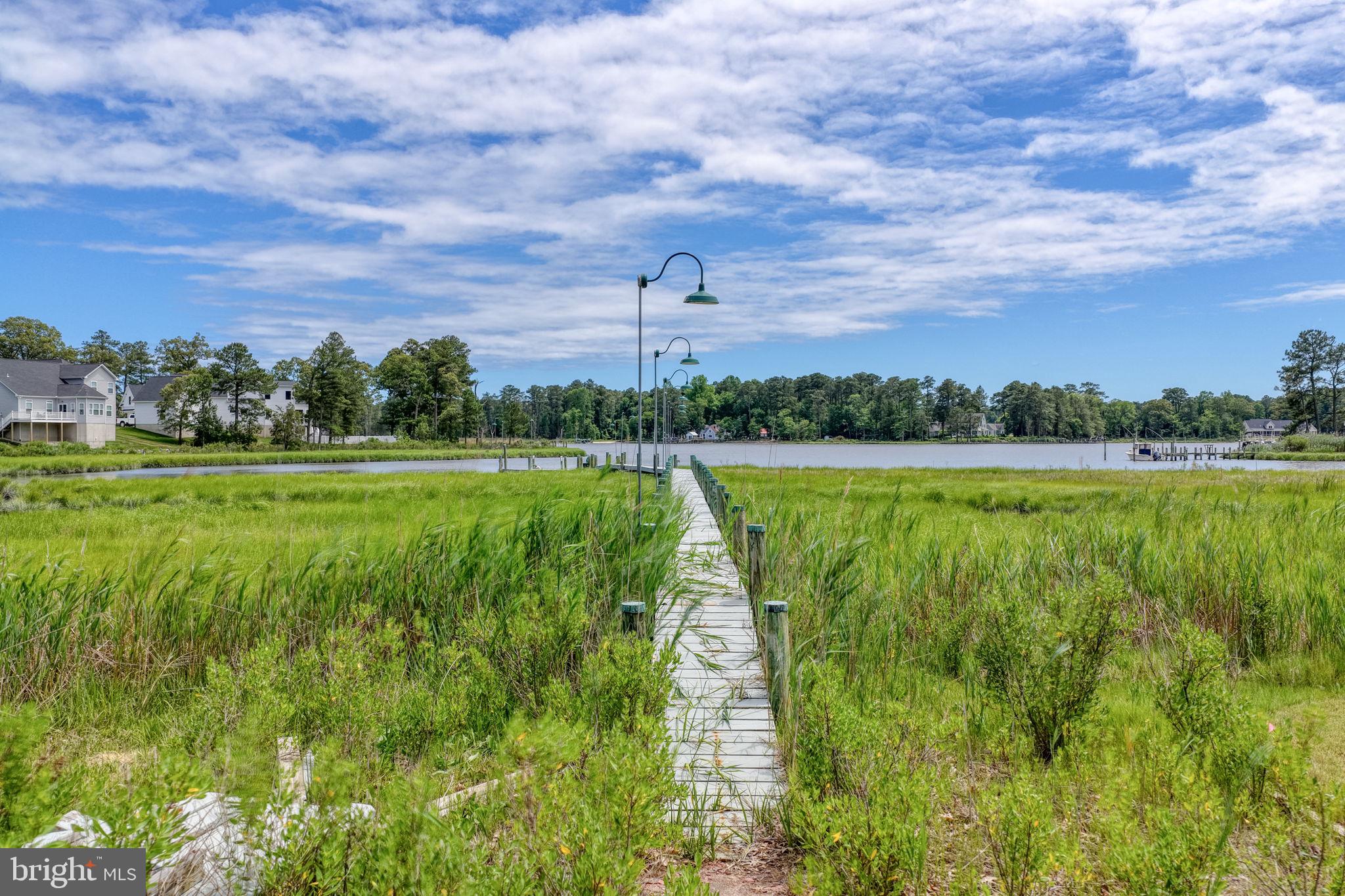 COVE ON HERRING CREEK - Land