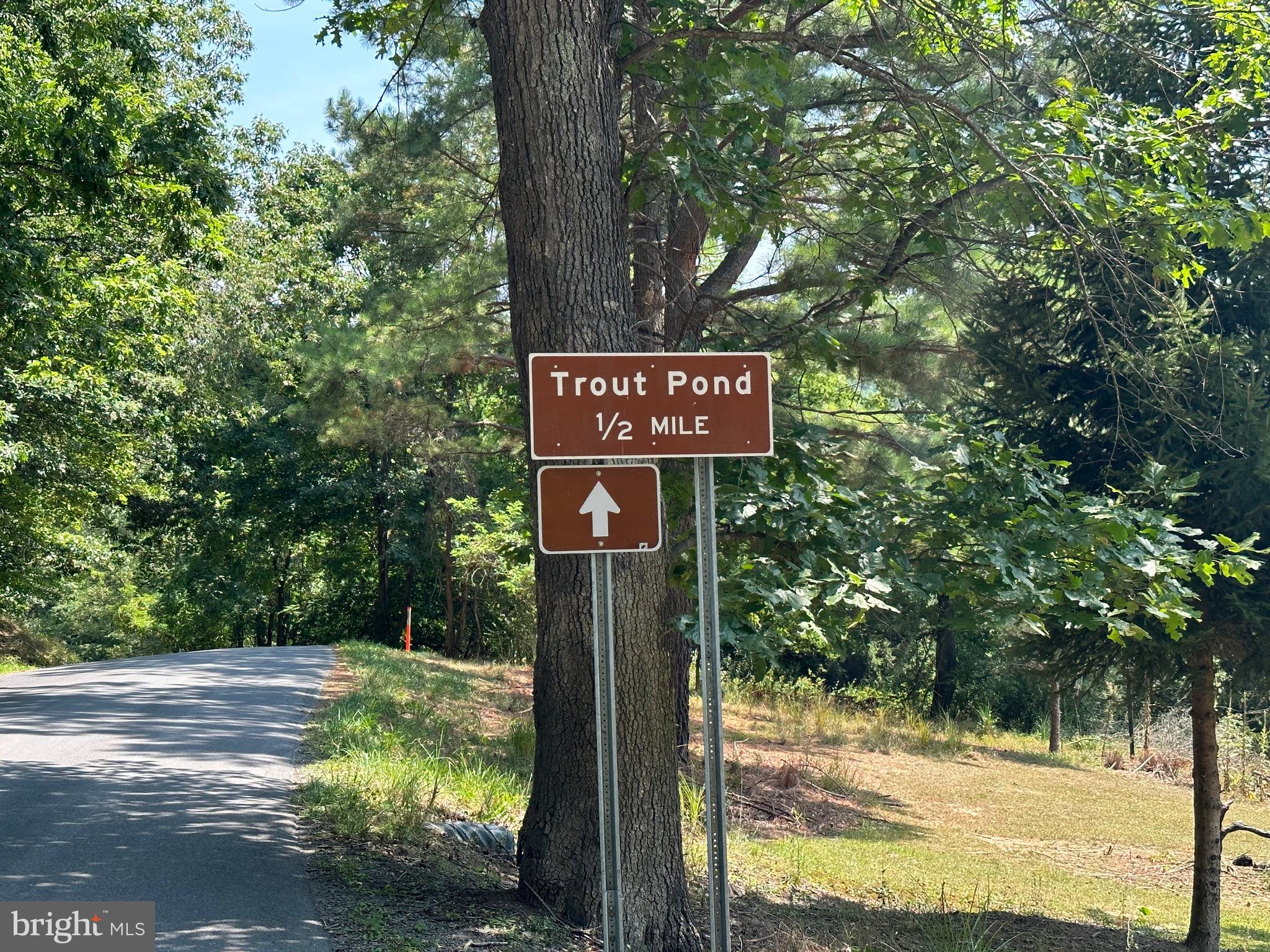COVE MOUNTAIN ESTATES - Land