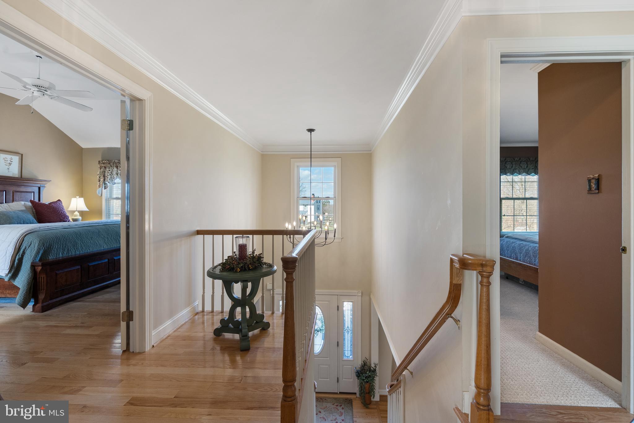 FRANCONIA HUNT - Residential
