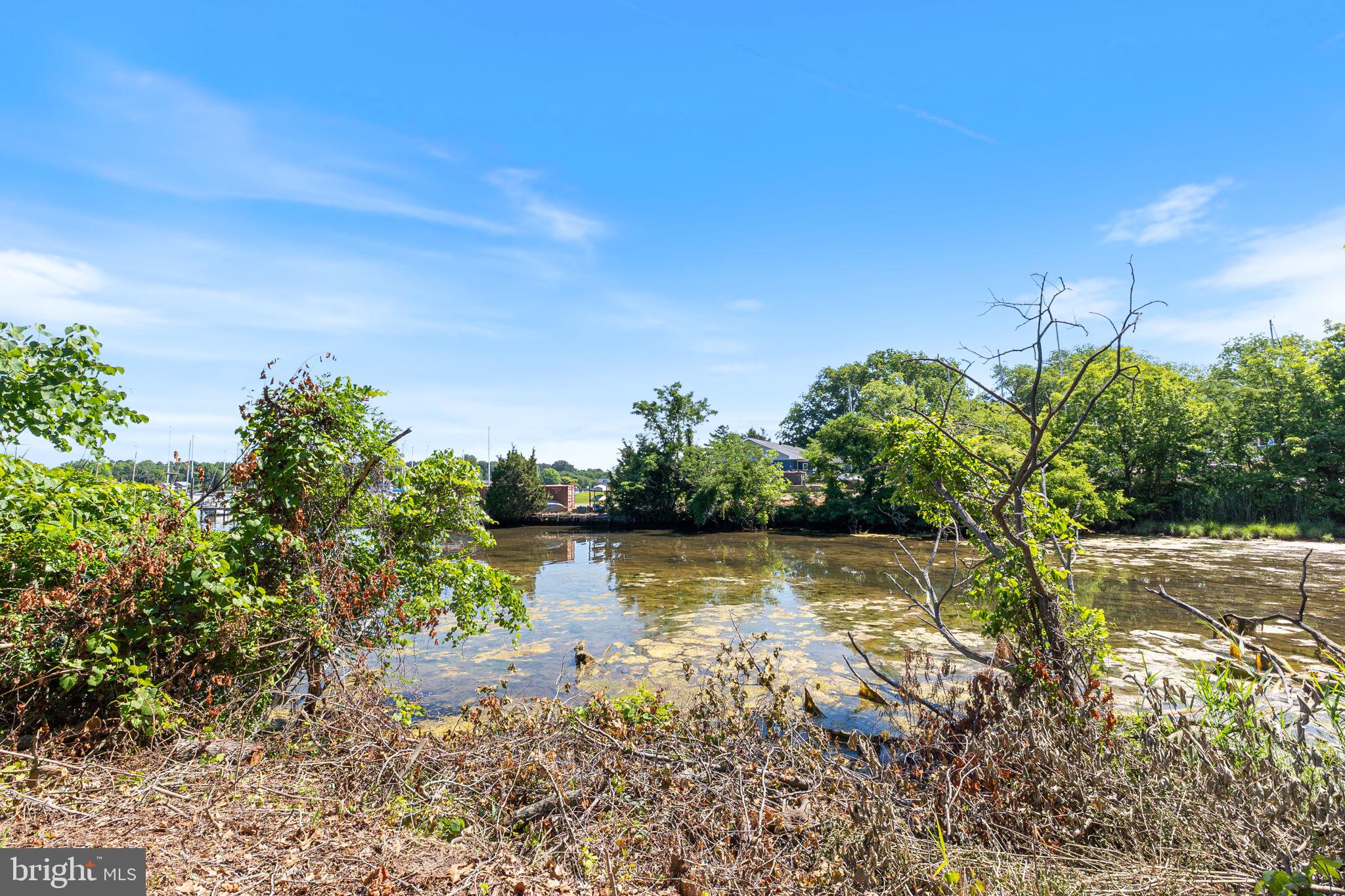 COBB ISLAND - Residential
