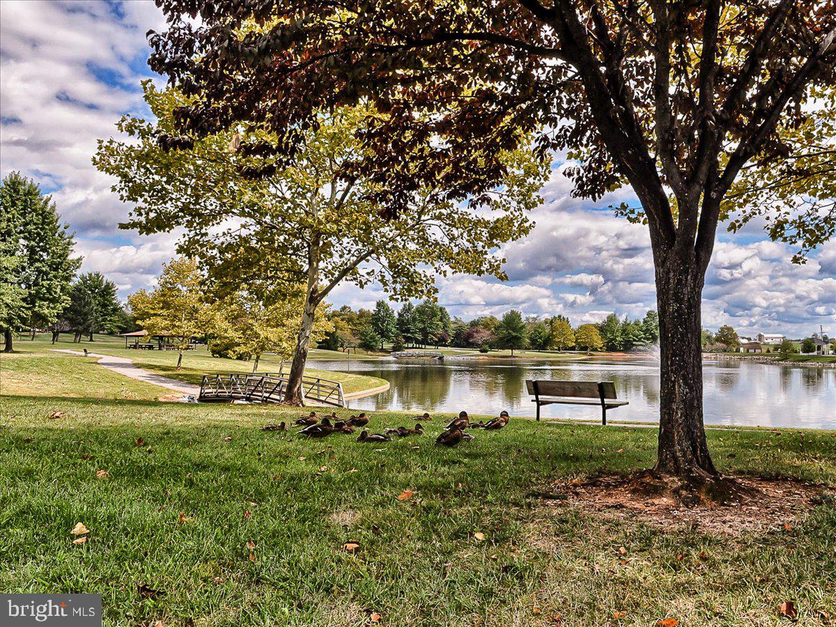 WHITTIER POND - Residential
