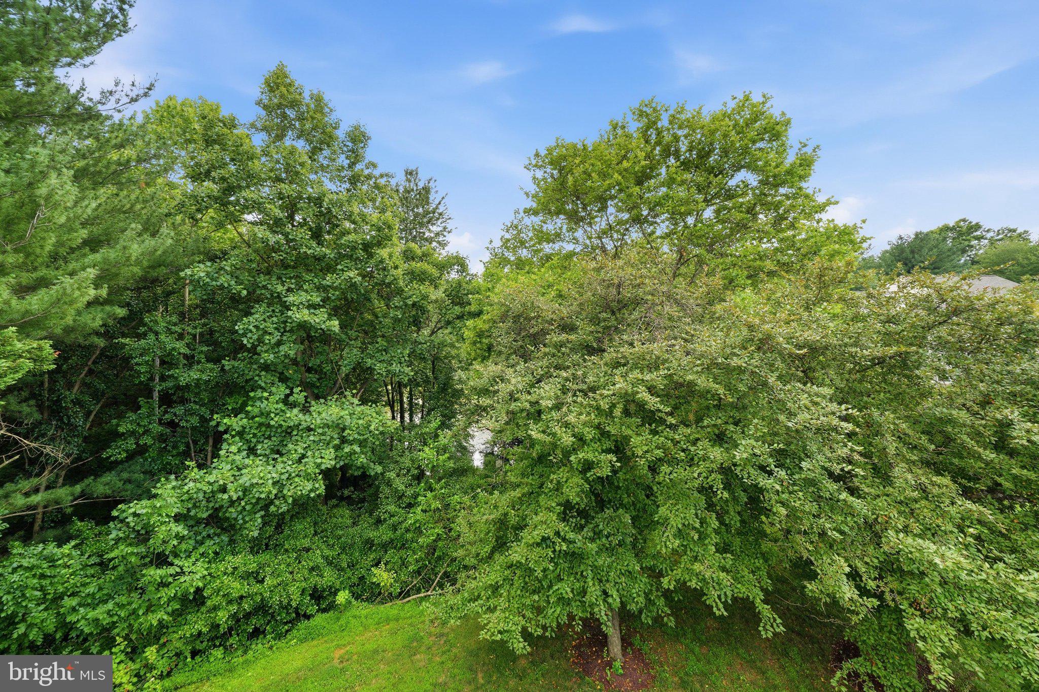 VILL AT MANCHESTER FARMS - Residential
