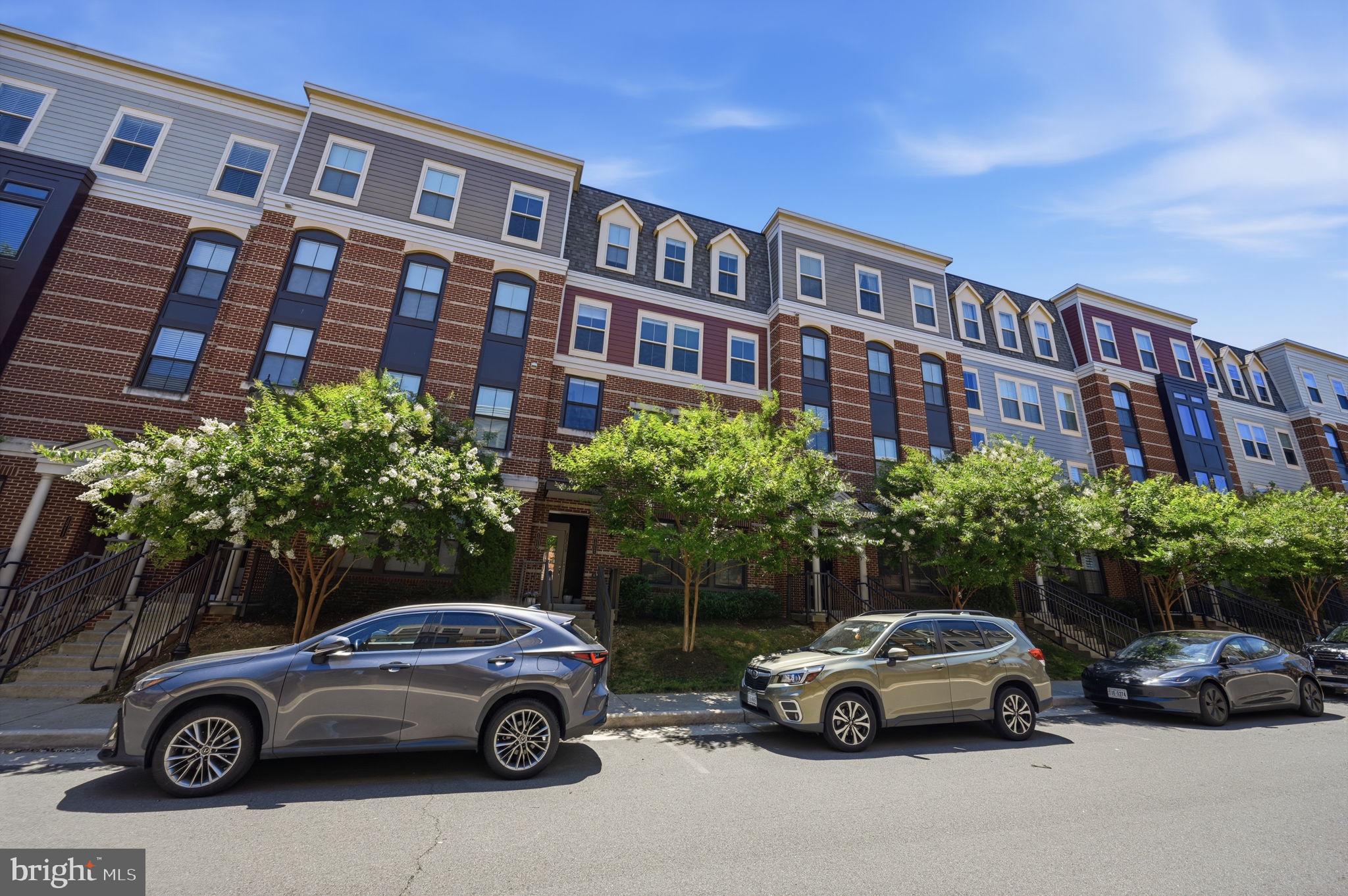 MOUNT VINEYARD - Residential