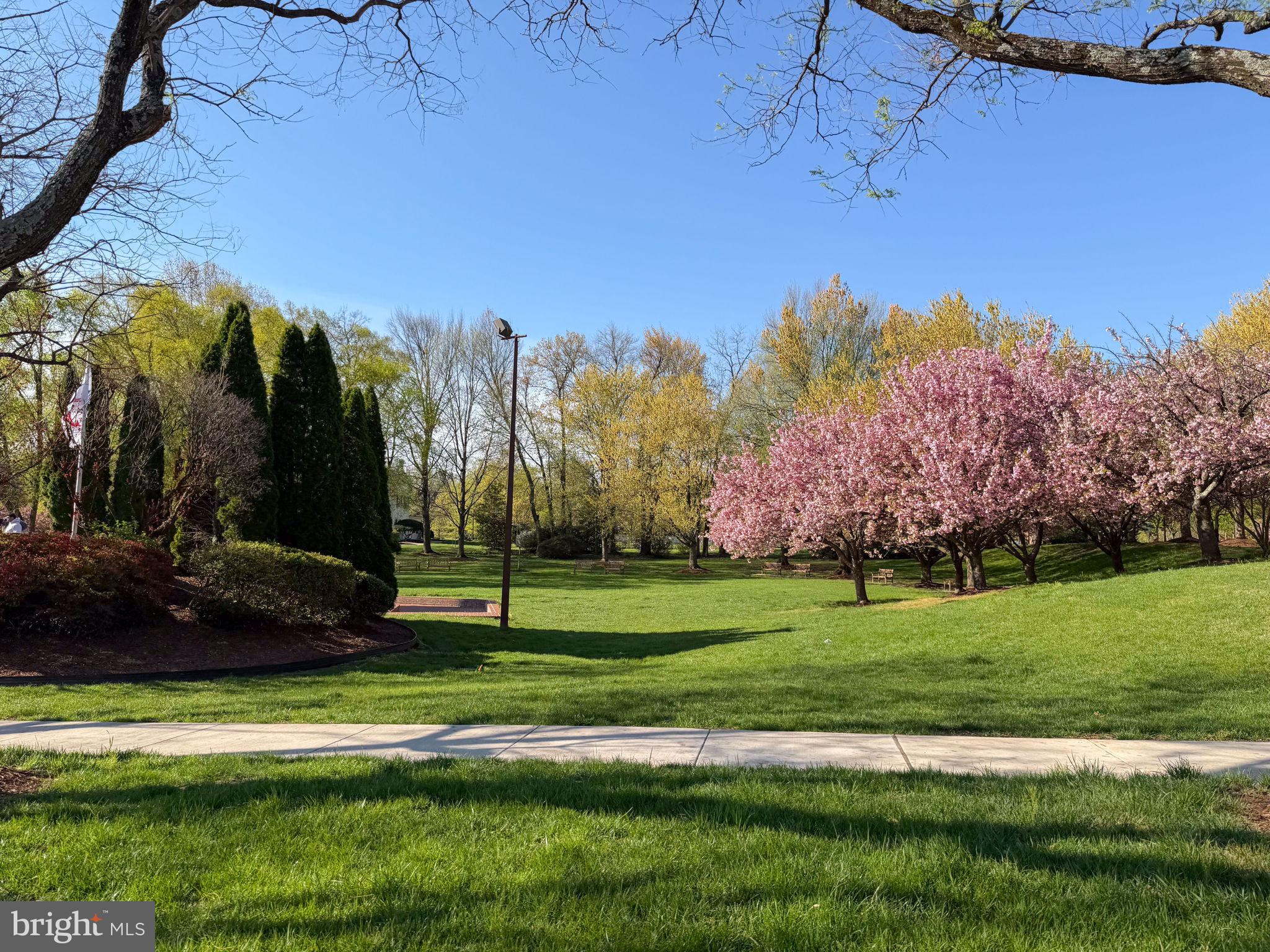 MOUNT VINEYARD - Residential