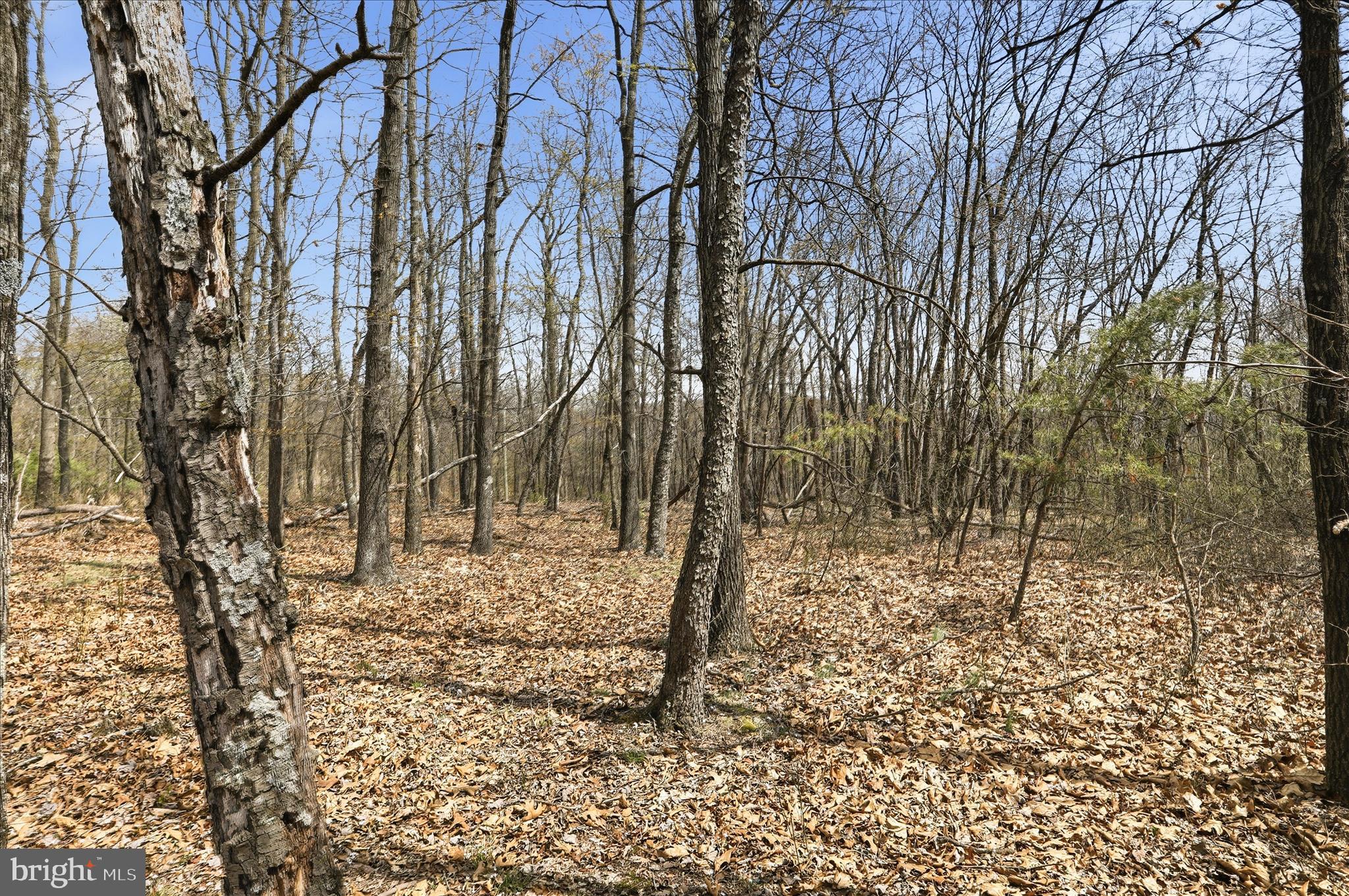 Discover the perfect blend of privacy and convenience with this nearly 10-acre wooded retreat, ideally located at the end of a quiet non-through road. Tucked away in a peaceful setting, this property offers a beautiful, gently elevated build site ideal for your dream home or getaway cabin. A year-round stream winds through the land, adding both charm and a soothing natural feature to enjoy in every season. Enjoy the freedom to hunt on your own property, ride ATVs, or simply explore the natural surroundings. With easy access and just a short drive to downtown Romney, WV, you’ll appreciate the balance of seclusion without sacrificing proximity to local shops, dining, and amenities. Whether you're ready to build your forever home, create a private recreational escape, or invest for the future, this scenic parcel is full of potential!