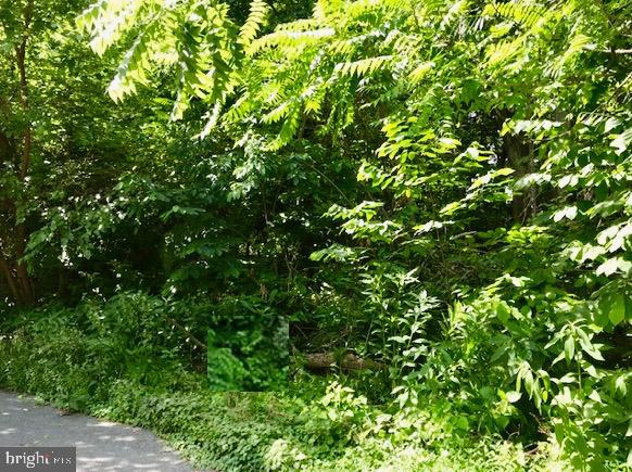 Perfectly located on a quiet cul-de-sac in the exclusive Community of Fernbank at Cress Creek!!  This lovely 0.53 acre lot that is ready for your Dream Home! Not far from Historic Downtown Shepherdstown or the Maryland State line this lot is one of just a few left within the neighborhood. Enjoy all of the amenities of Cress Creek Golf Course that is just a short stroll away or take in the views of the lovely, privately owned horse farm. An ideal location for you to call HOME!