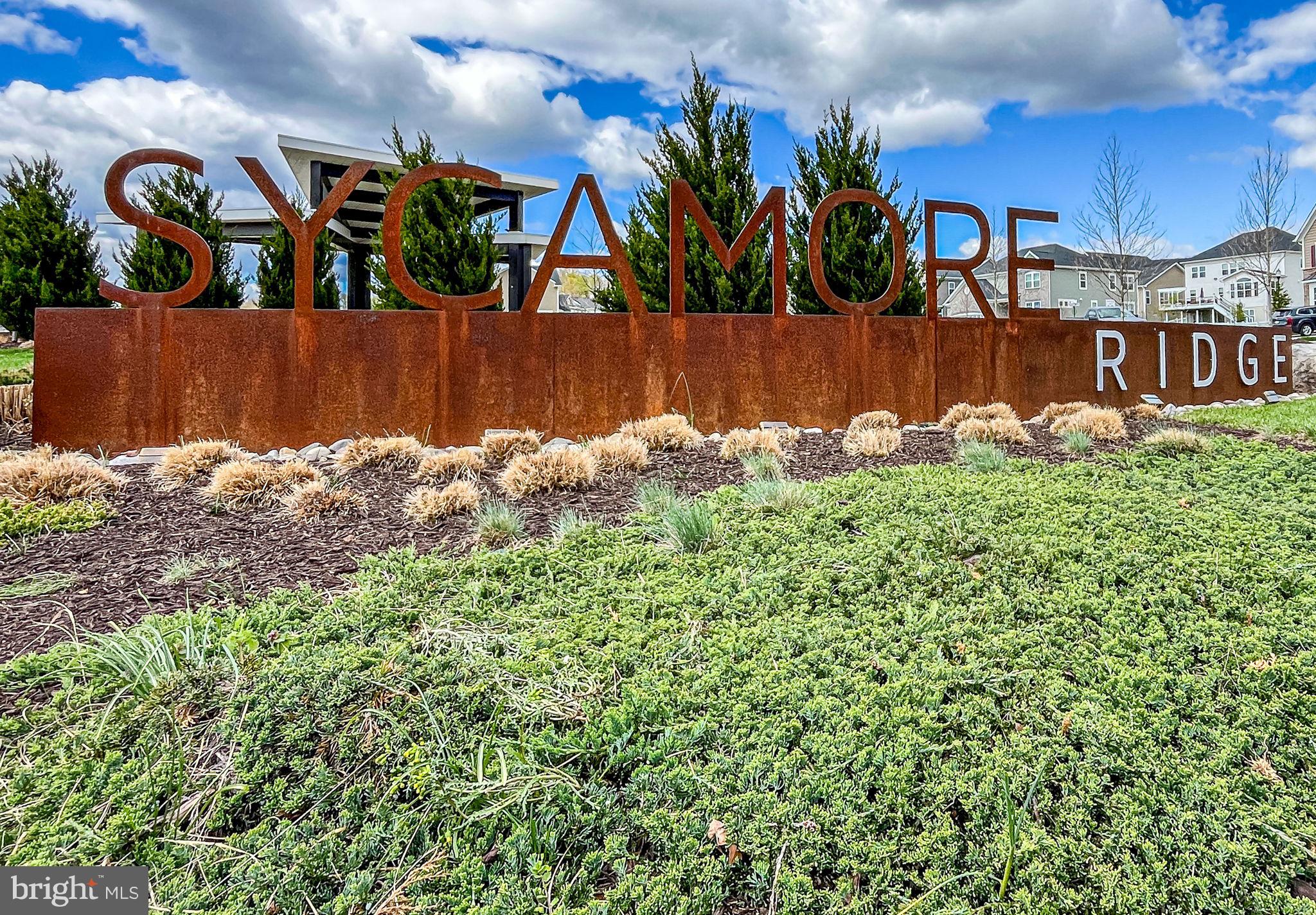 SYCAMORE RIDGE - Residential
