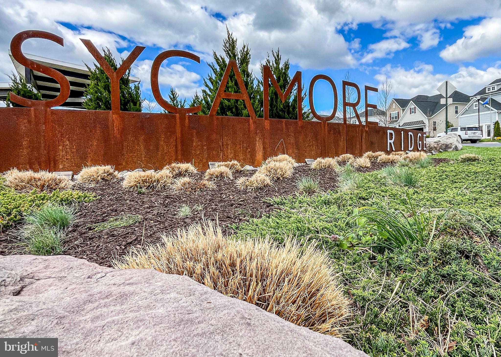 SYCAMORE RIDGE - Residential