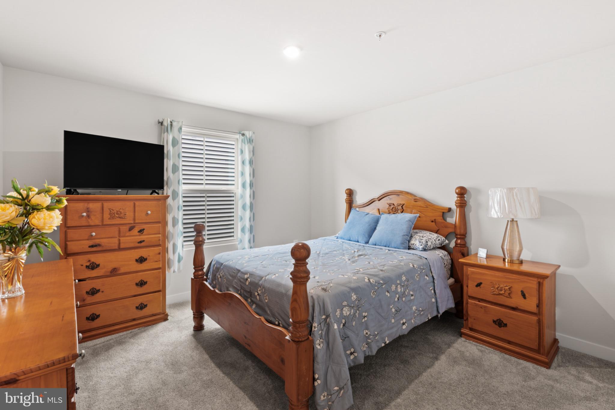 TIMOTHY BRANCH 55+ - Residential