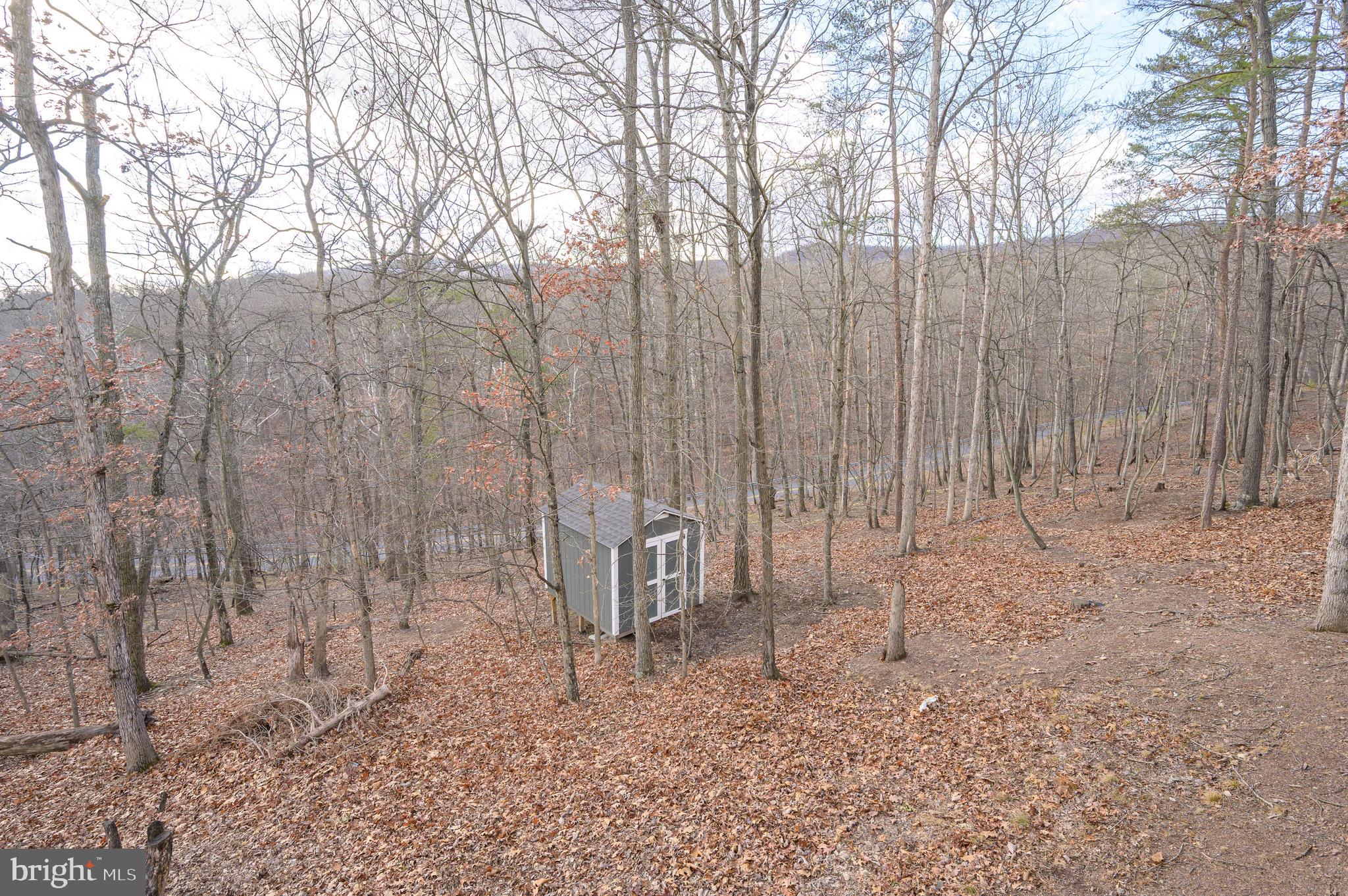 THE WOODS - Residential