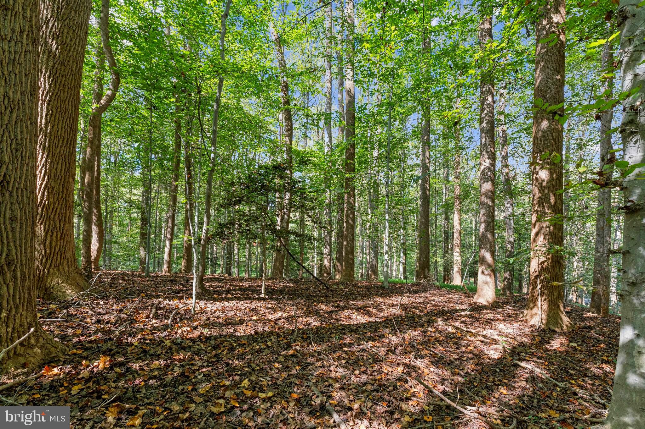 Discover an extraordinary opportunity to build your dream home at 258 Jeffery Lane, nestled in the prestigious enclave of Great Falls, VA. This remarkable 2.4-acre lot offers an expansive 104,492 square feet of potential, presenting a blank slate for visionary homeowners. The property’s wooded surroundings and its secluded cul-de-sac location lend it a sense of exclusivity and tranquility that's hard to find.

Strategically positioned near the majestic Potomac River, this location provides not only serene natural beauty but also convenient proximity to Great Falls Village. For those with a penchant for leisure and recreation, Riverbend Country Club is just a stone’s throw away, promising effortless access to golf and social engagements.

With its Residential Estate zoning, this parcel invites you to craft a bespoke residence that perfectly suits your lifestyle. The level terrain facilitates a seamless building process, allowing your architectural aspirations to come to life with ease. While utilities such as water and septic systems will need to be installed, the investment promises unparalleled rewards.

Seize this rare chance to cultivate a private haven amidst one of Virginia’s most coveted locales, where sophistication meets nature’s splendor. Contact Compass today for an exclusive viewing and begin the journey to your dream estate.