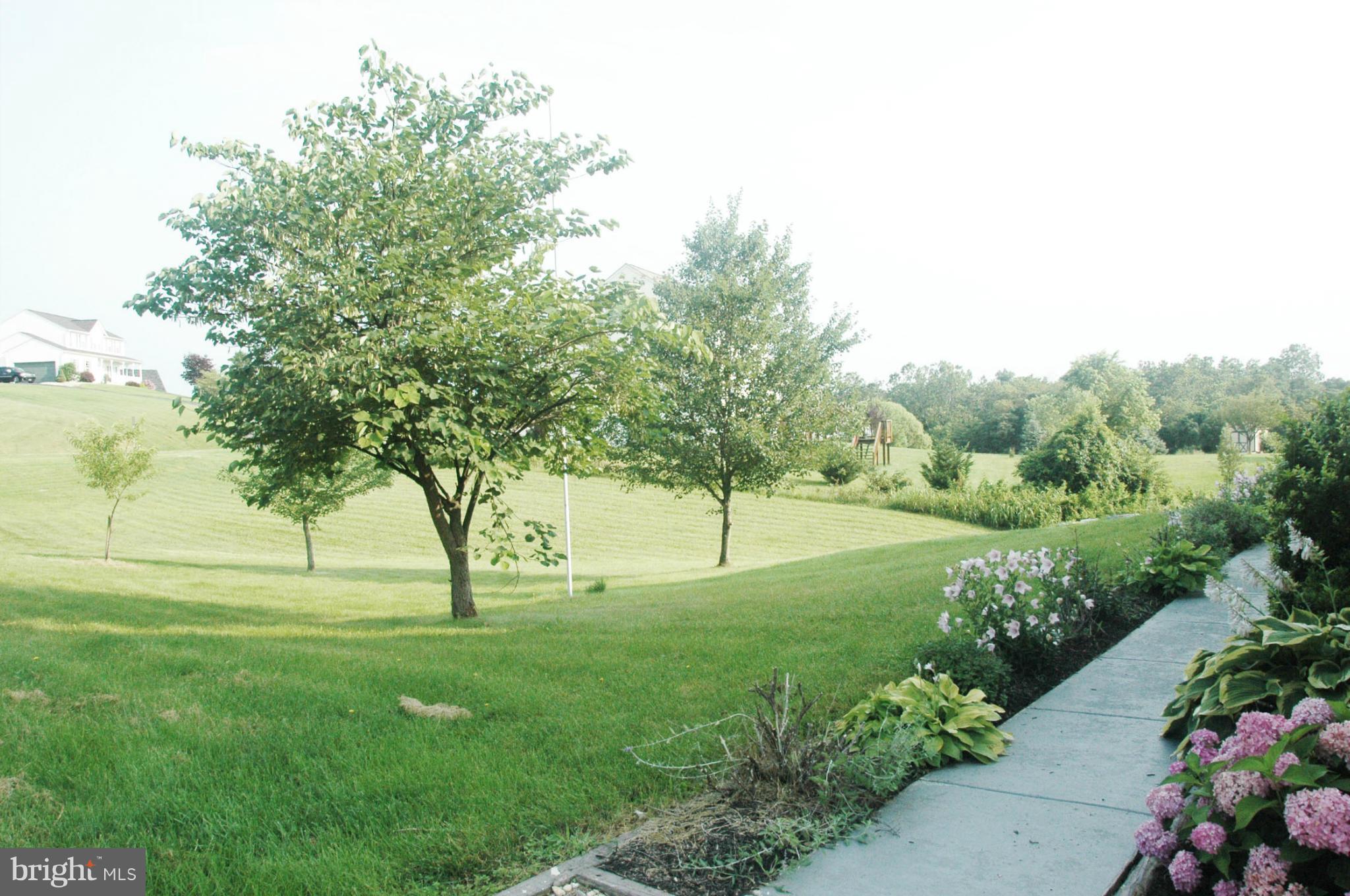 HIGHPOINTE - Farm