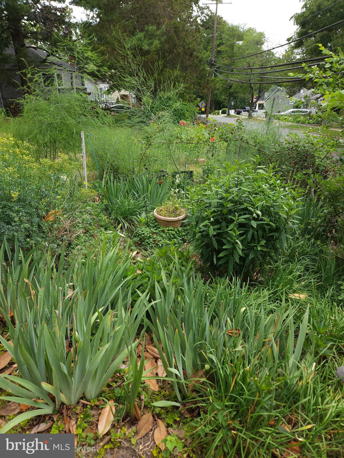 CHEVERLY - Residential