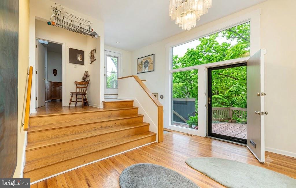 CHESTNUT HILL - Residential