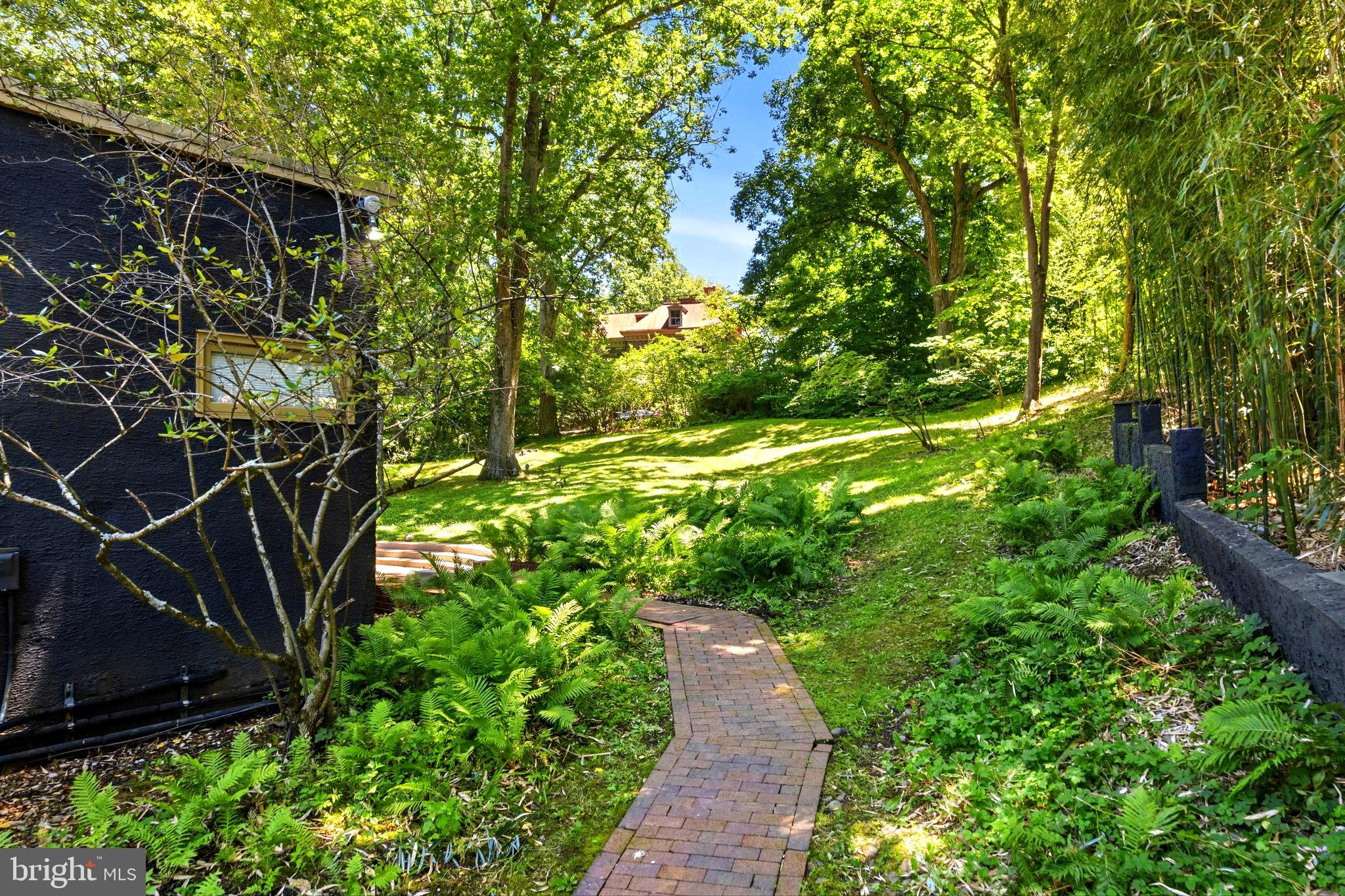 CHESTNUT HILL - Residential