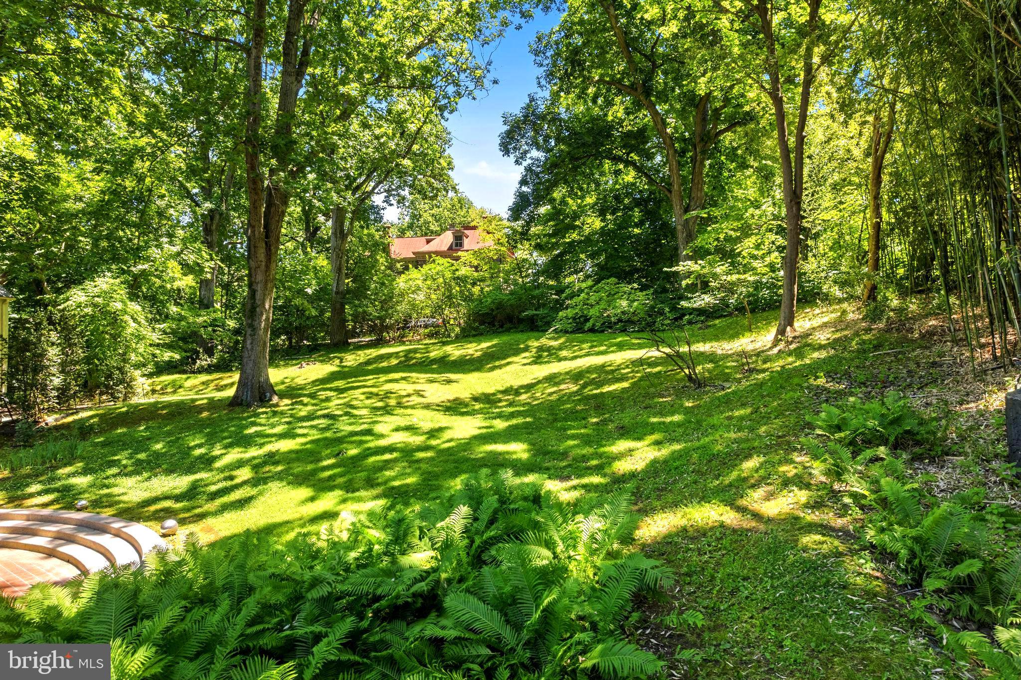 CHESTNUT HILL - Residential