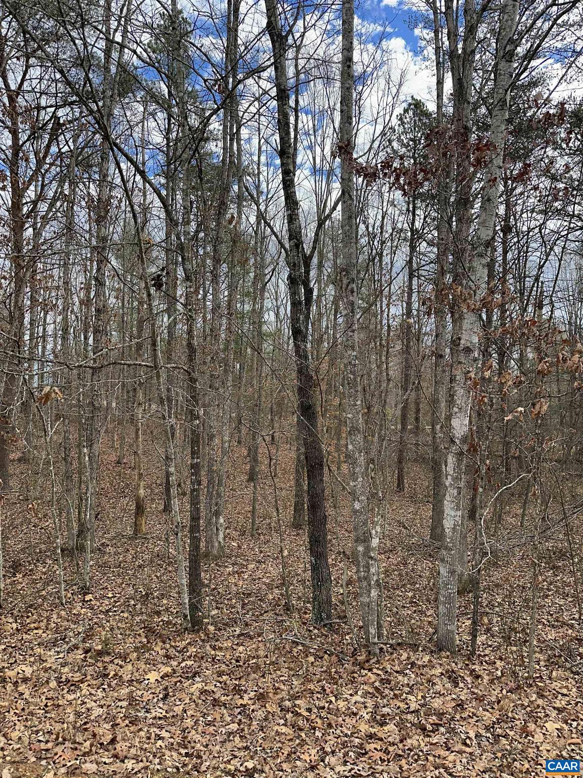 SHENANDOAH CROSSING - Land