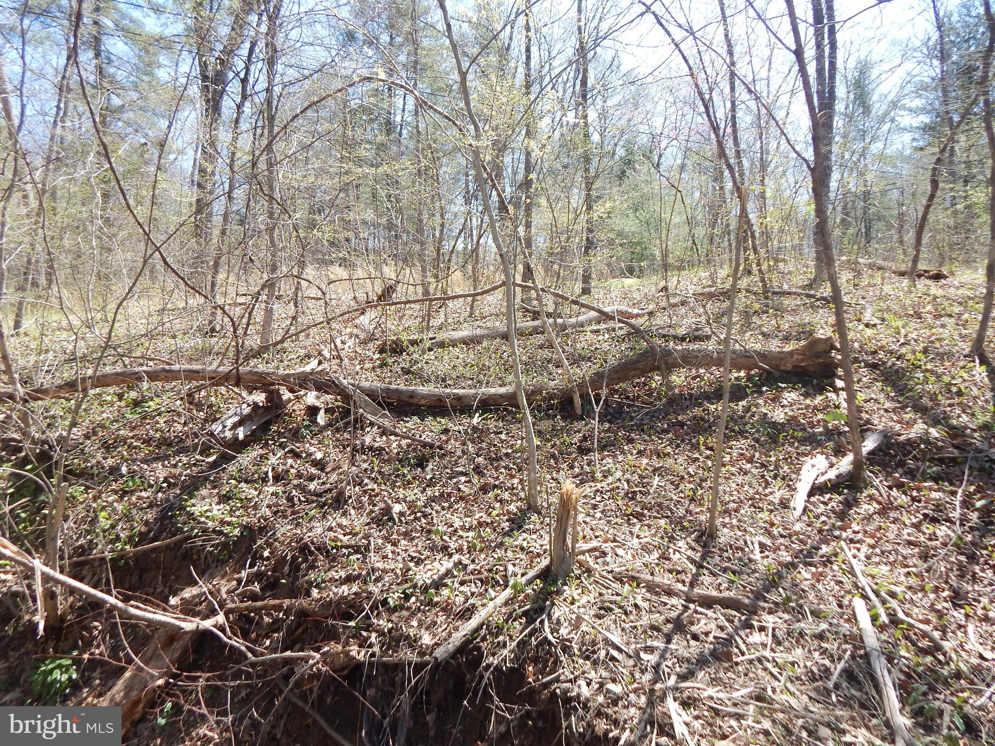 A lot near Back Creek.  A stream goes through the width of the property. Build your Creek side dream home or a home on stilts, (Stilts home construction.)  Possible lot for recreation. 
Bring your horse. Unrestricted!