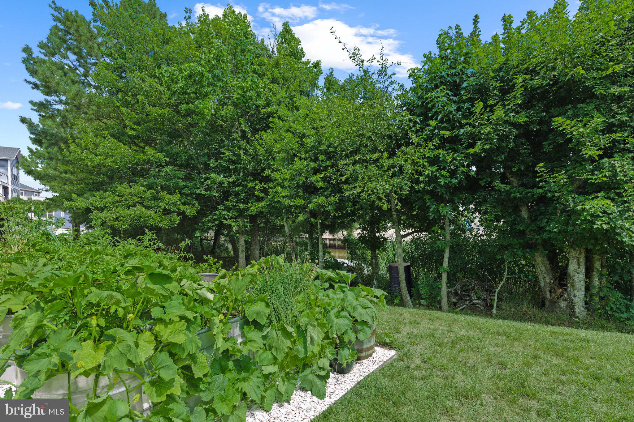 FENWICK SHOALS - Residential
