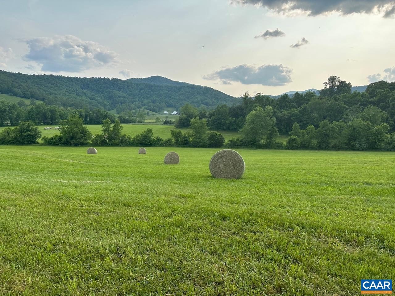 NONE AVAILABLE - Farm
