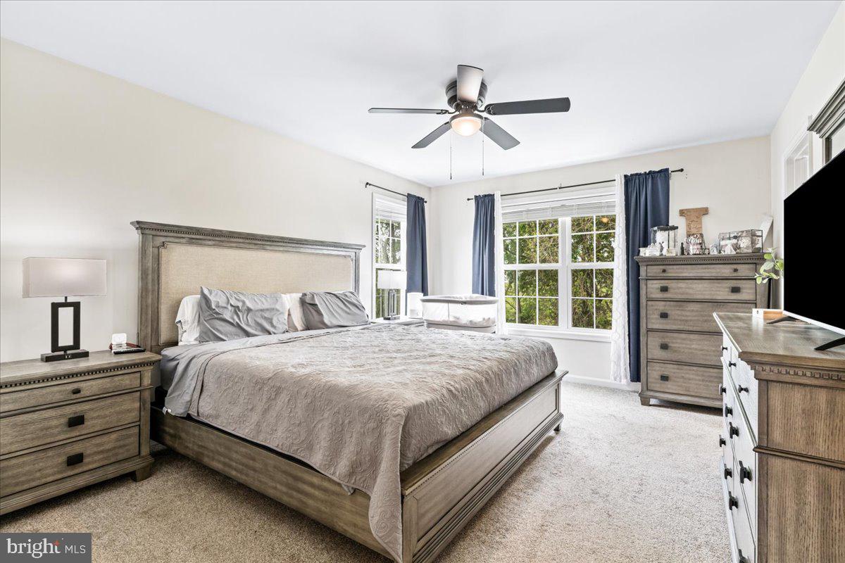 NOTTINGHAM MEADOWS - Residential