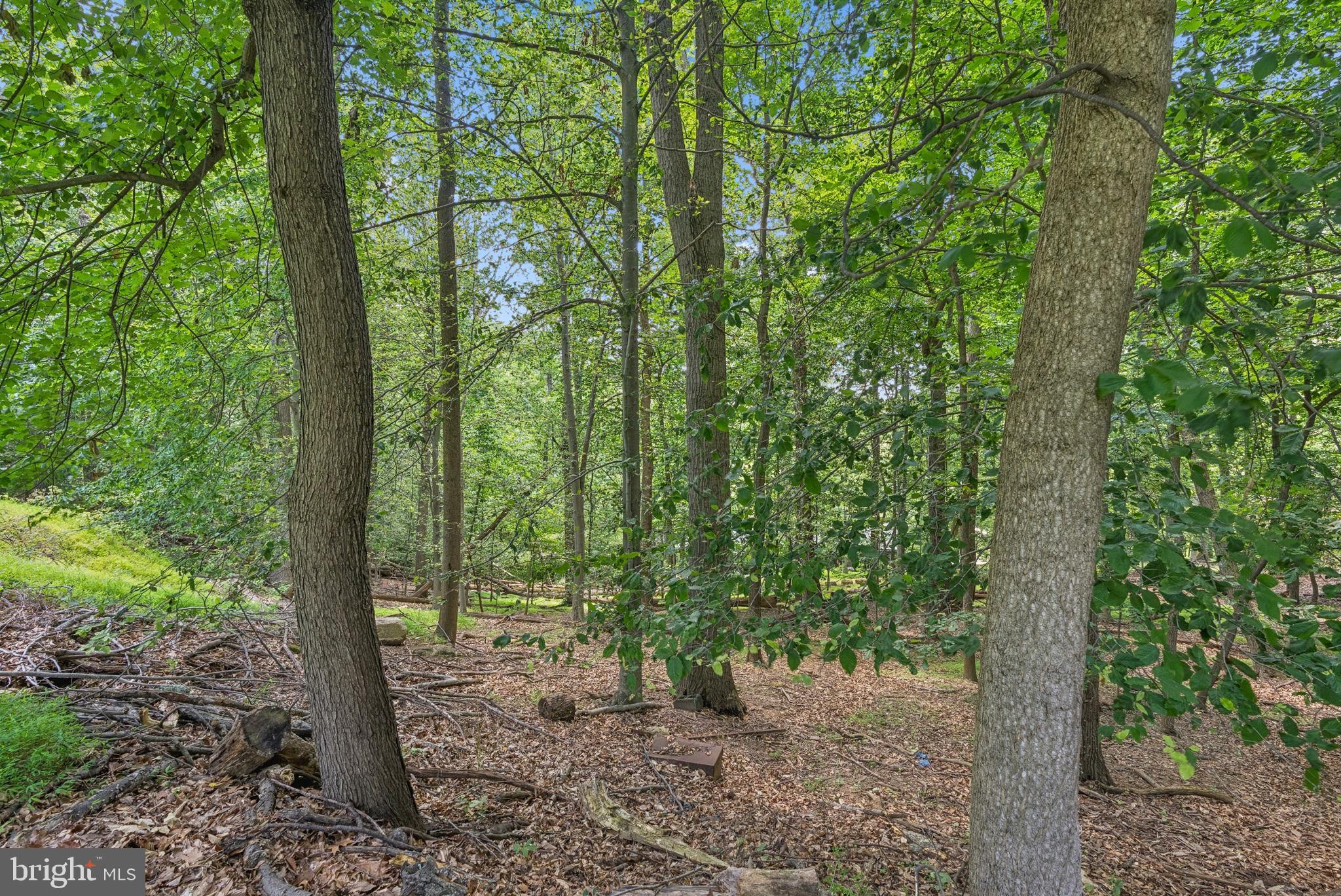 HAMPTON - Residential