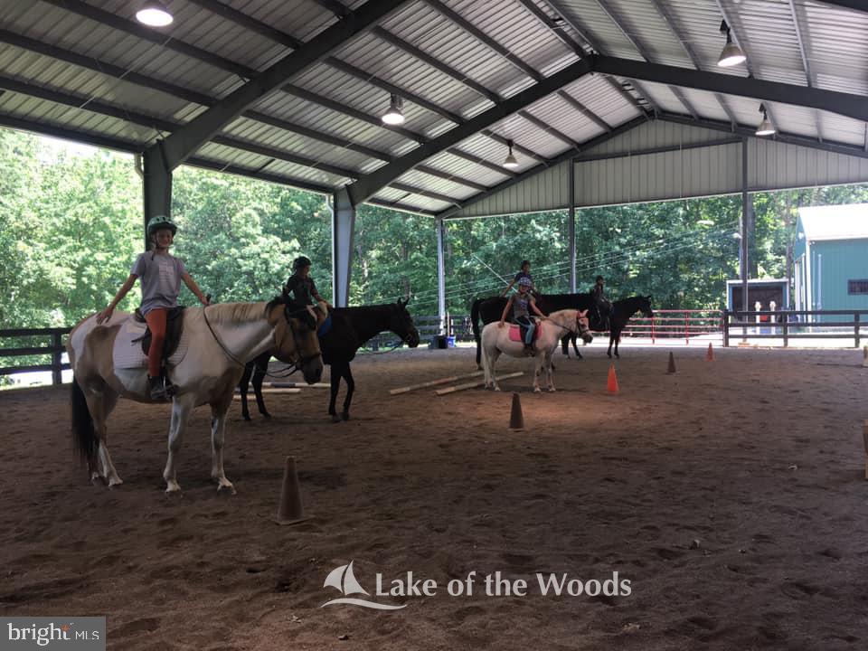LAKE OF THE WOODS - Residential