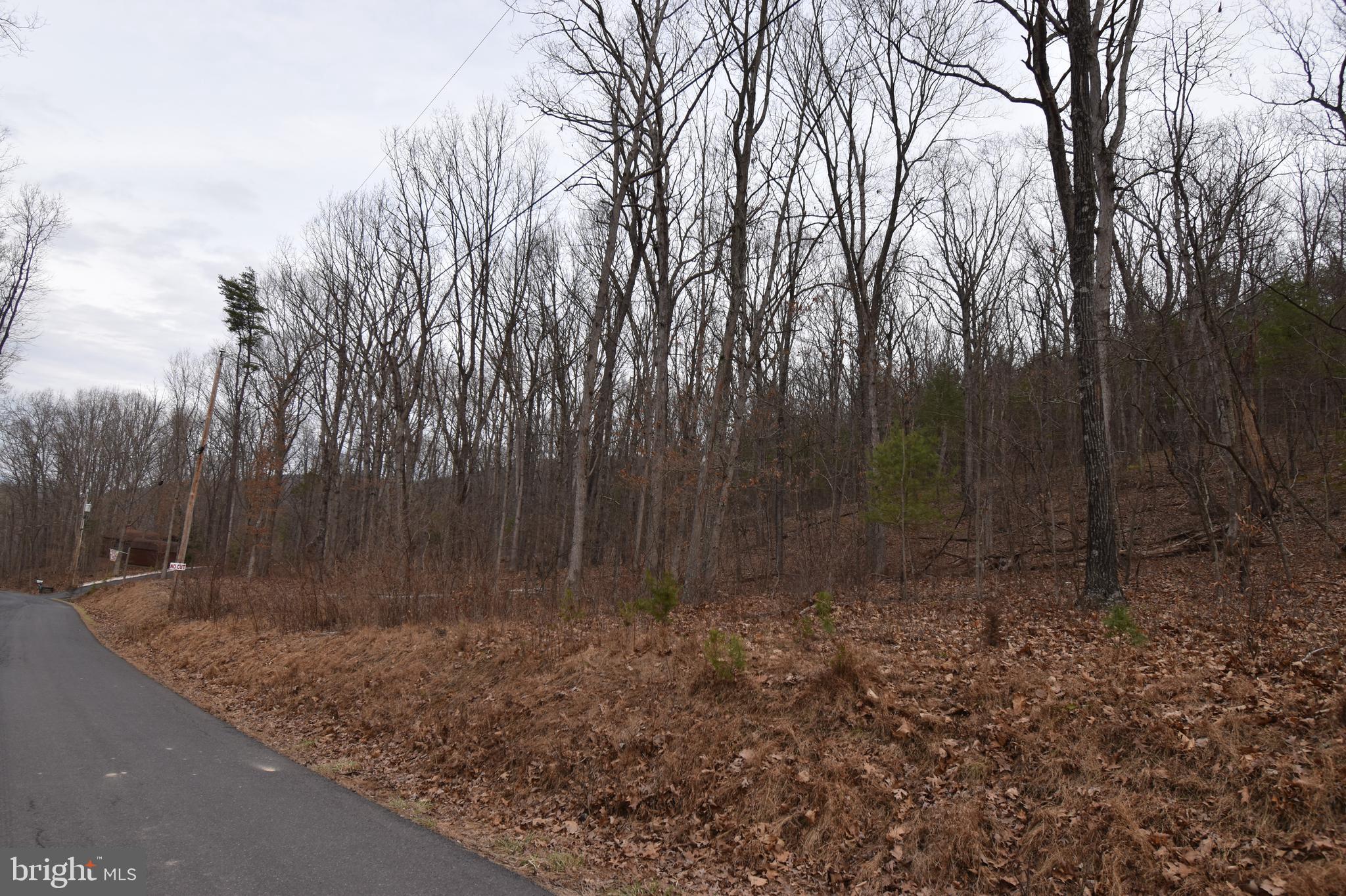 Privacy & Serenity waiting for development, just 0.5 Mile to Route 50 W on Paved Roads.  NEARBY ATTRACTIONS/LOCATIONS: 8.1 Miles to Capon Bridge WV,  15.3 Miles to Romney WV, 27.4 Miles to Winchester VA, 2 Hours to DC, 17 Miles to Potomac Eagle Scenic Railroad, 30.7 Miles to Paw Paw Tunnel, 26.4 Miles to Tuscarora Trail Eagle Rock Trailhead, 45.5 Miles to MARC Train Station in Martinsburg WV, 5.6 Miles to Central Hampshire Park, and 14.7 Miles to Short Mountain Wildlife Management Area (camping, hunting, & fishing).  Approximately 1,057.5 Feet of Road Frontage on N River Road.