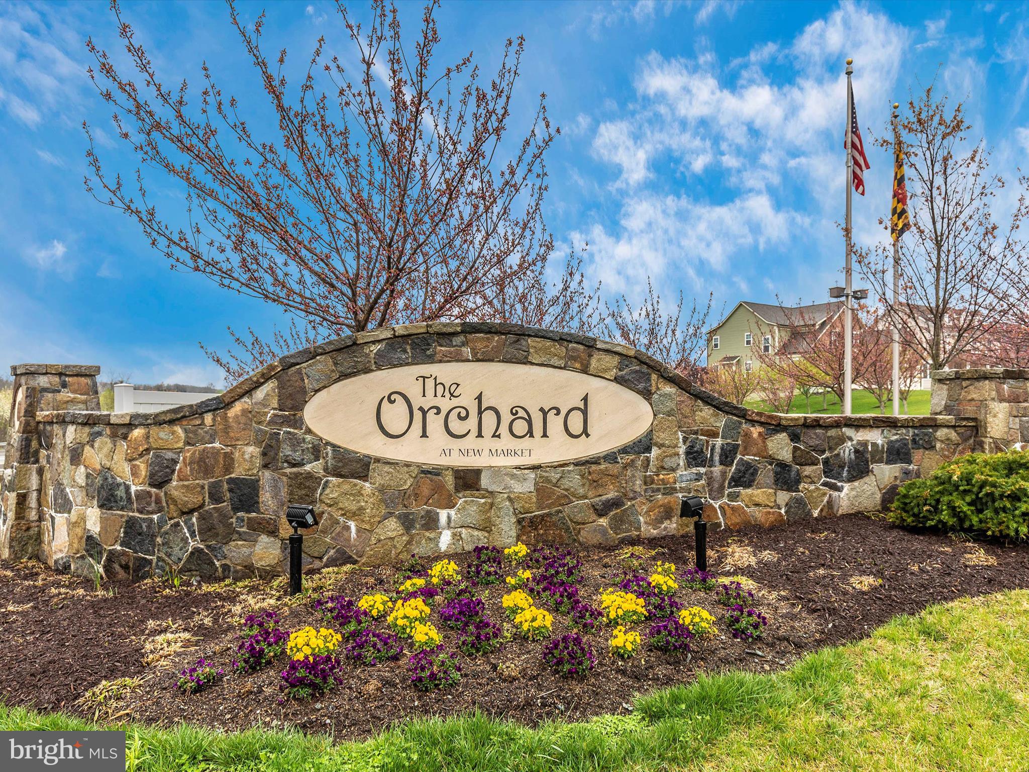 THE ORCHARD AT NEW MARKET - Residential