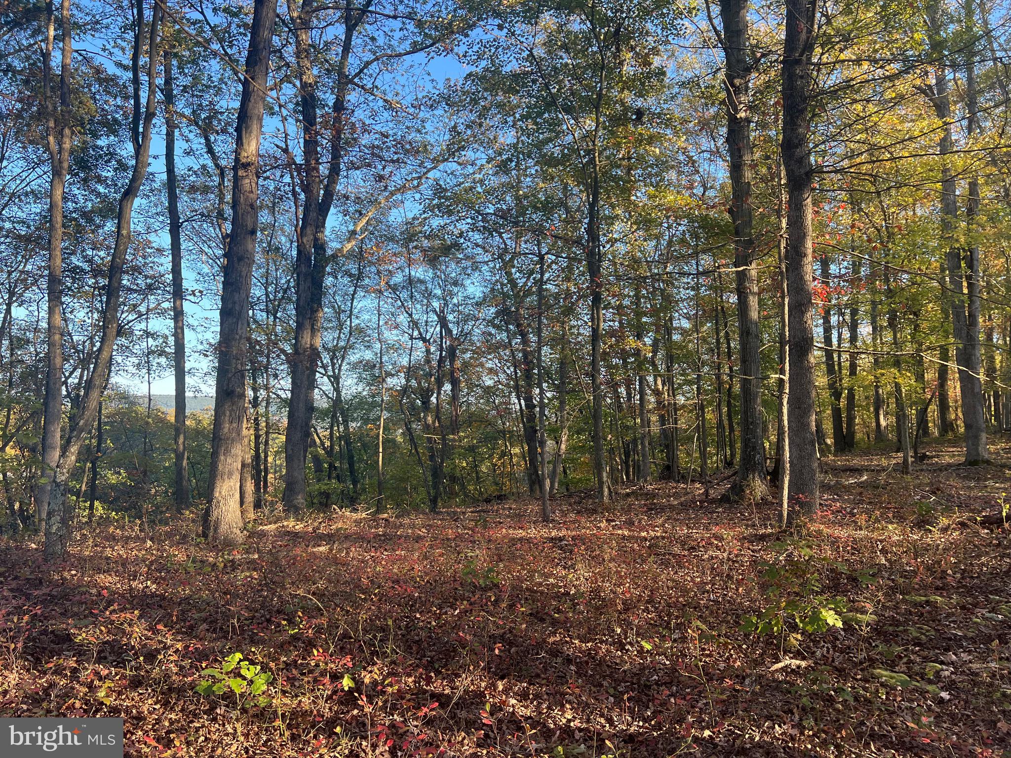 64.02 wooded acres with the potential for amazing mountain views! Take a walk onto the property to find a beautiful potential build site with a temporary power pole already set up and under ground conduit ran - just needs the meter box! If this is not your ideal build site then you still have plenty of land to find your perfect spot! Maybe towards the back of the property where a small stream runs? This property was once going to be a development so there are several perc sites throughout the property. This information has been ordered from the Berkeley County Health Department and will be made available once received. Whether you are looking to build your dream home amidst the mountains, a homestead for your family, are a builder looking for a development site, OR  you are just looking for a place to hunt -this property is a must see!